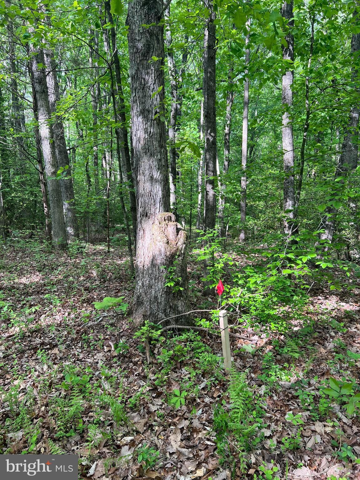 5 acres in Fauquier County, Virginia