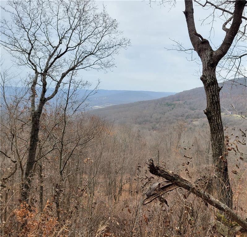 40 acres in Madison County, Arkansas