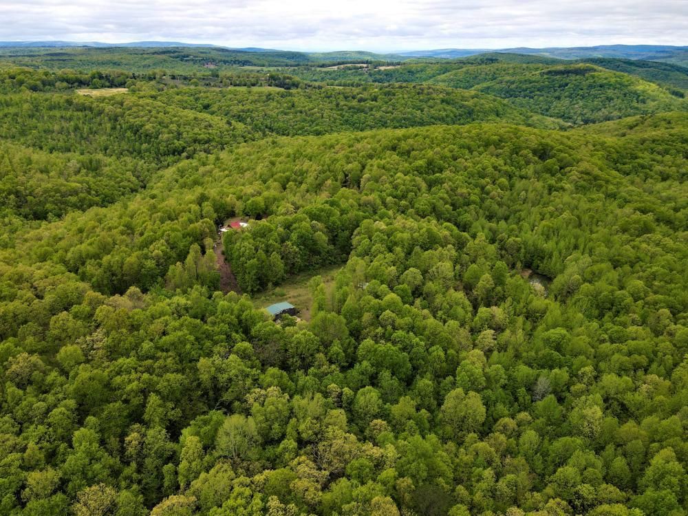 140 acres in Van Buren County, Arkansas