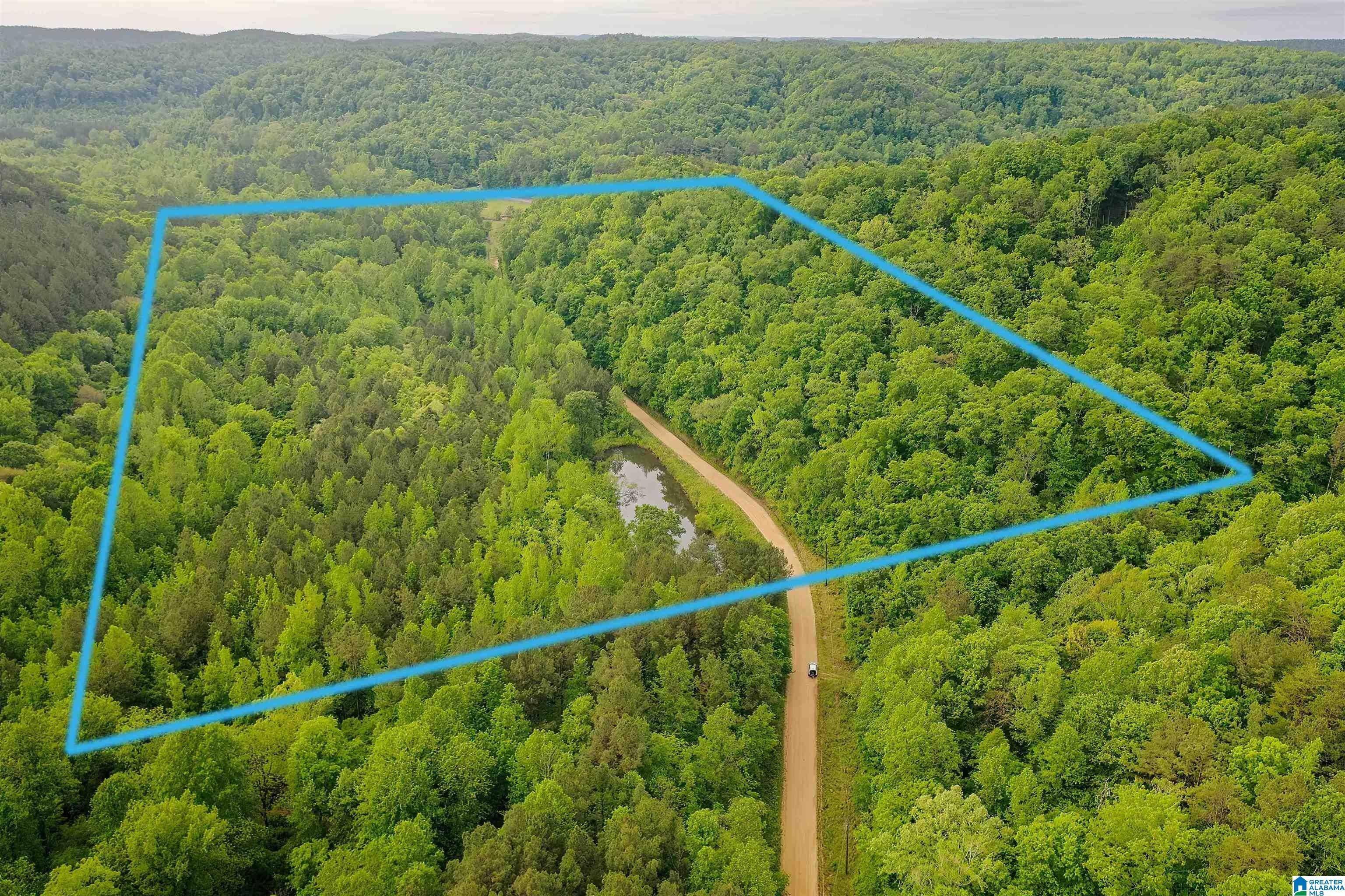 29 acres in Walker County, Alabama