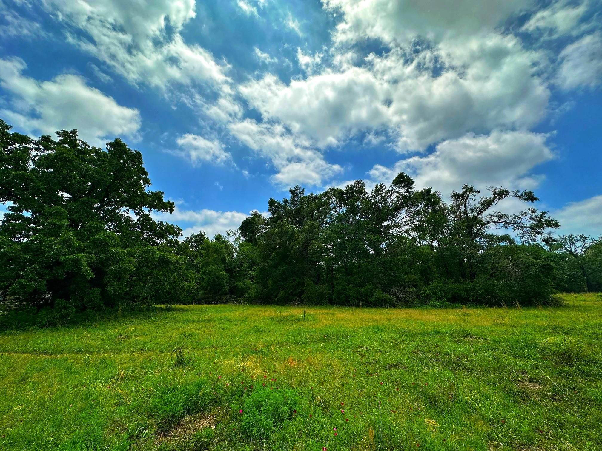7 acres in Leon County, Texas