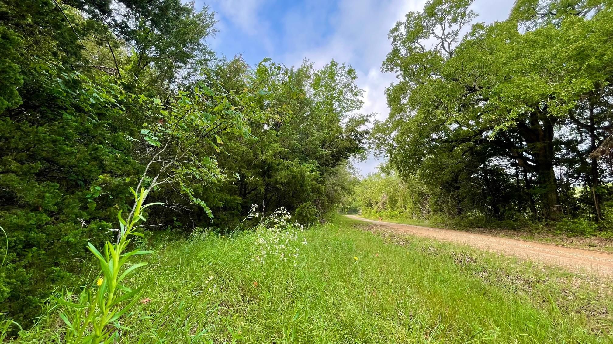 County Road 268 (+/ 4 acres), Kosse, TX 76653 MLS 23006660
