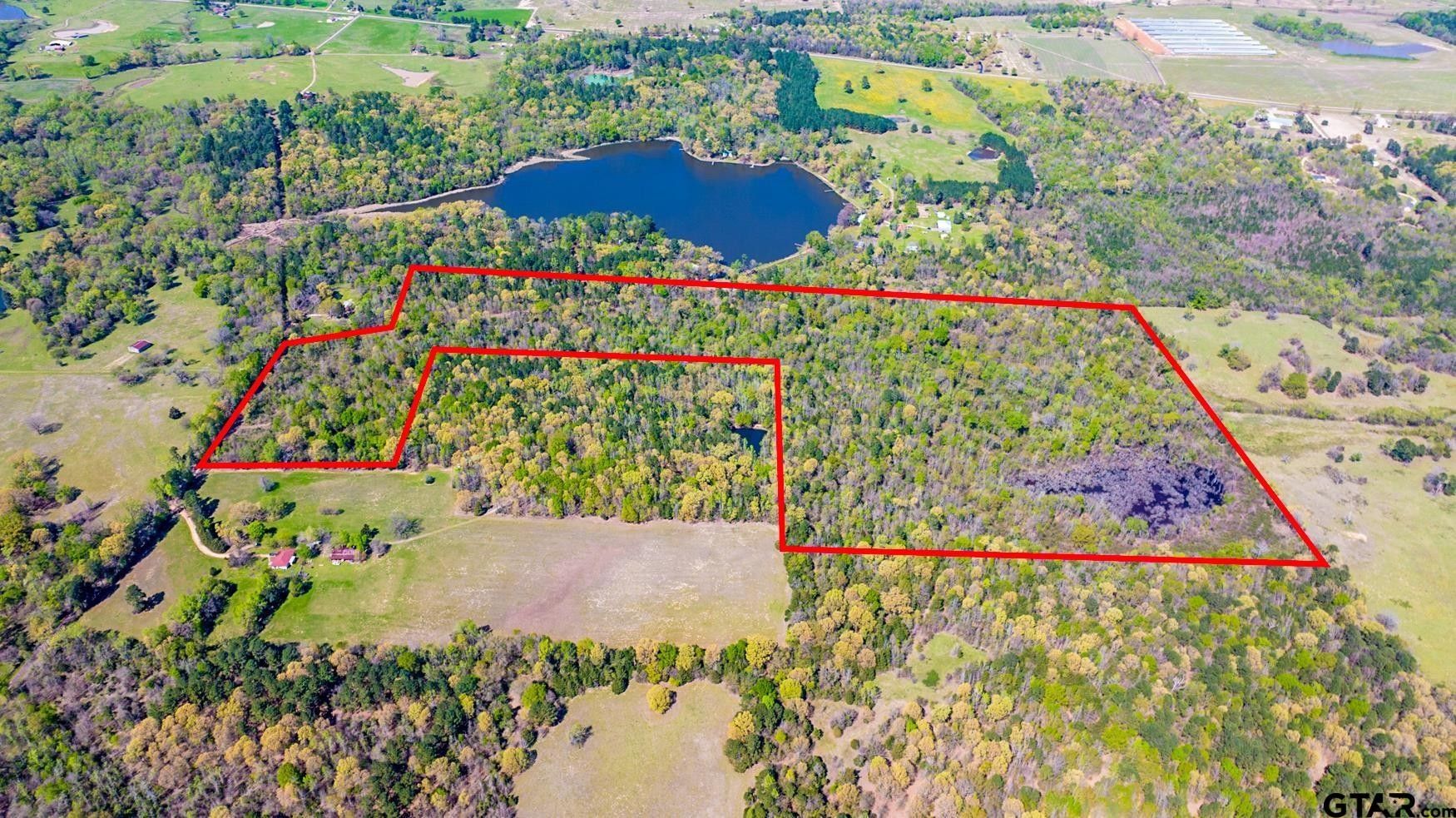 55.54 acres in Camp County, Texas