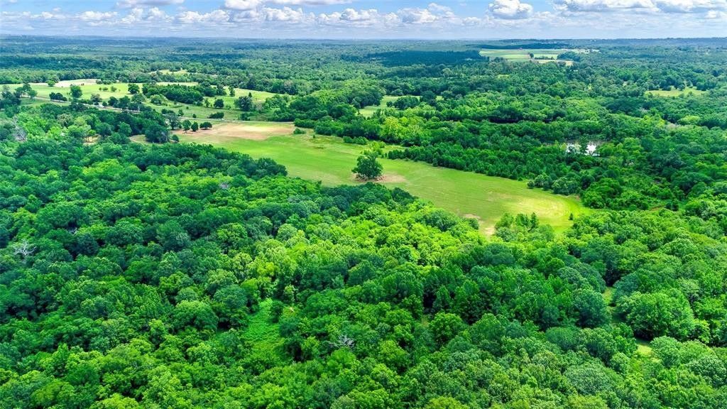 35 acres in Smith County, Texas