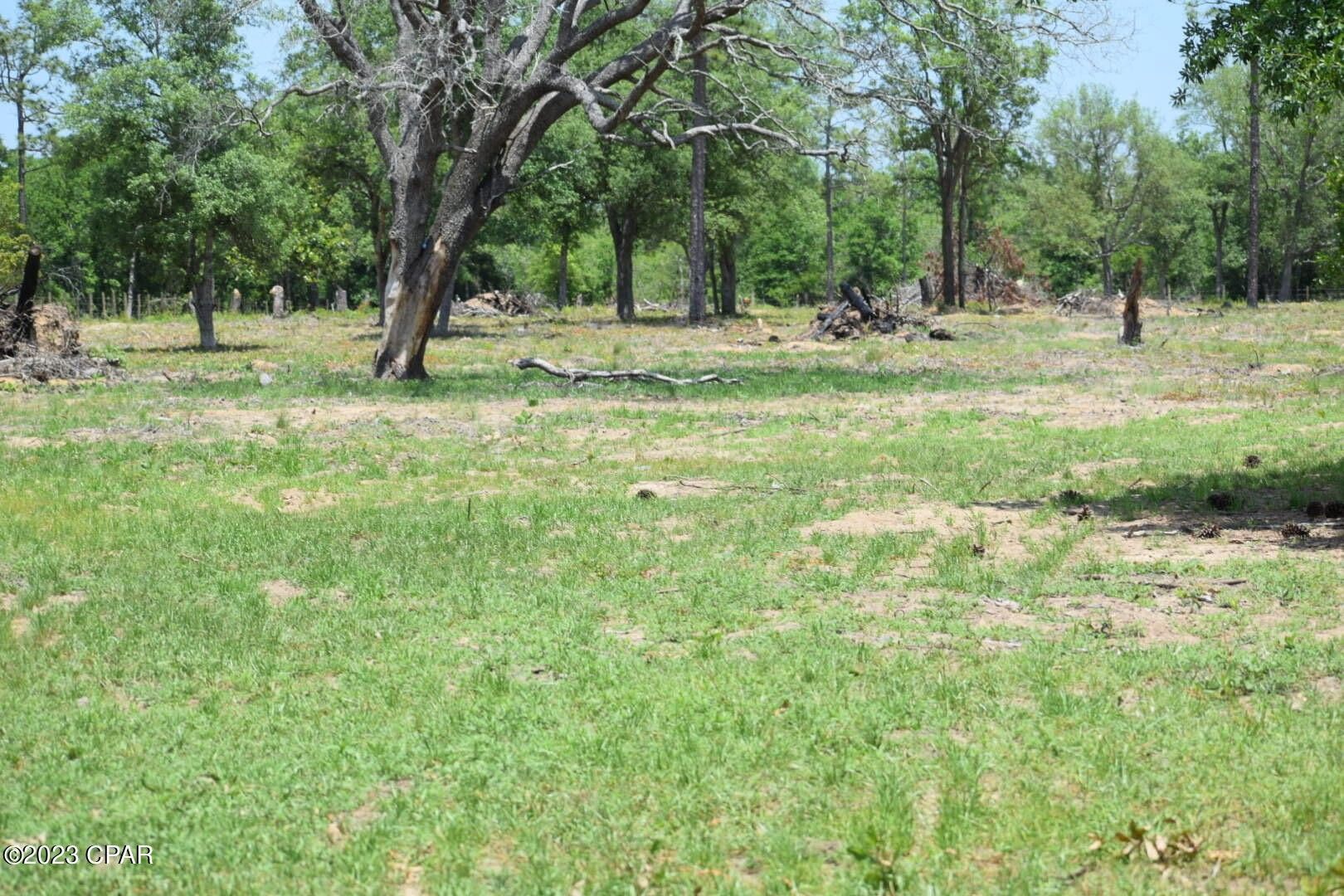 5 acres in Bay County, Florida