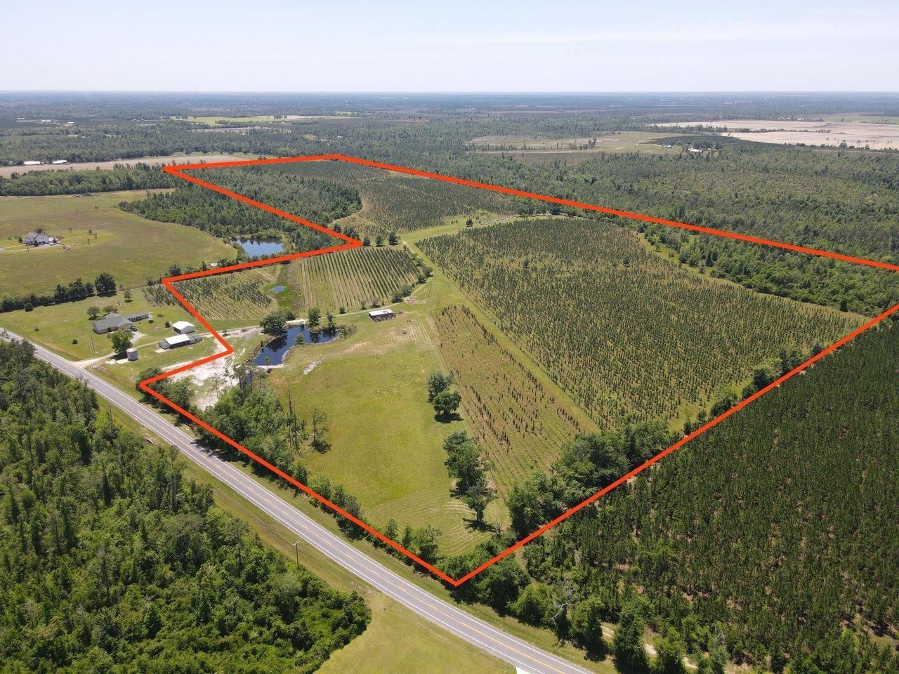 165 acres in Calhoun County, Florida