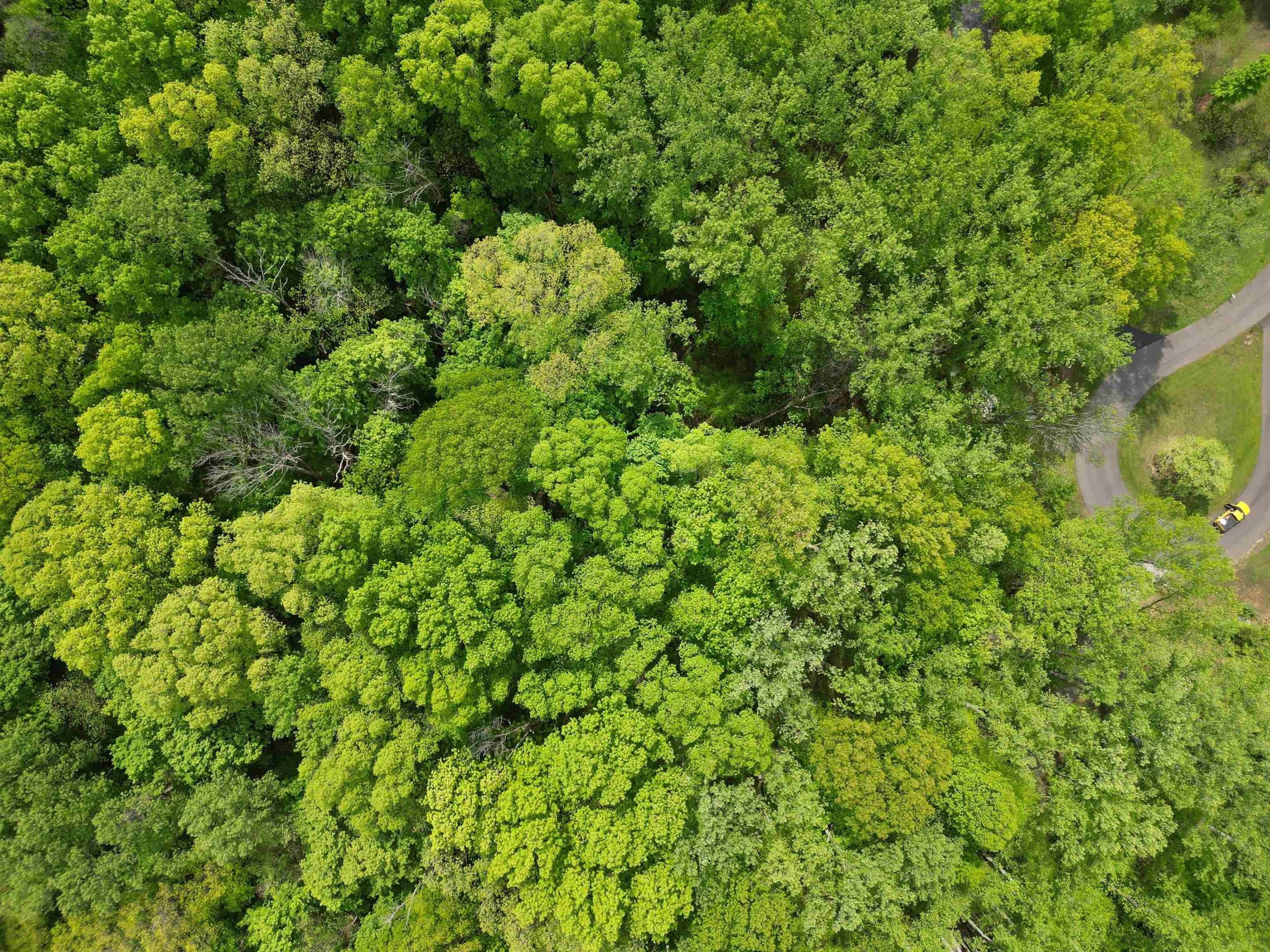 5 acres in Monroe County, Indiana