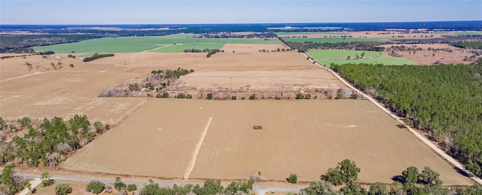 12.51 acres in Levy County, Florida