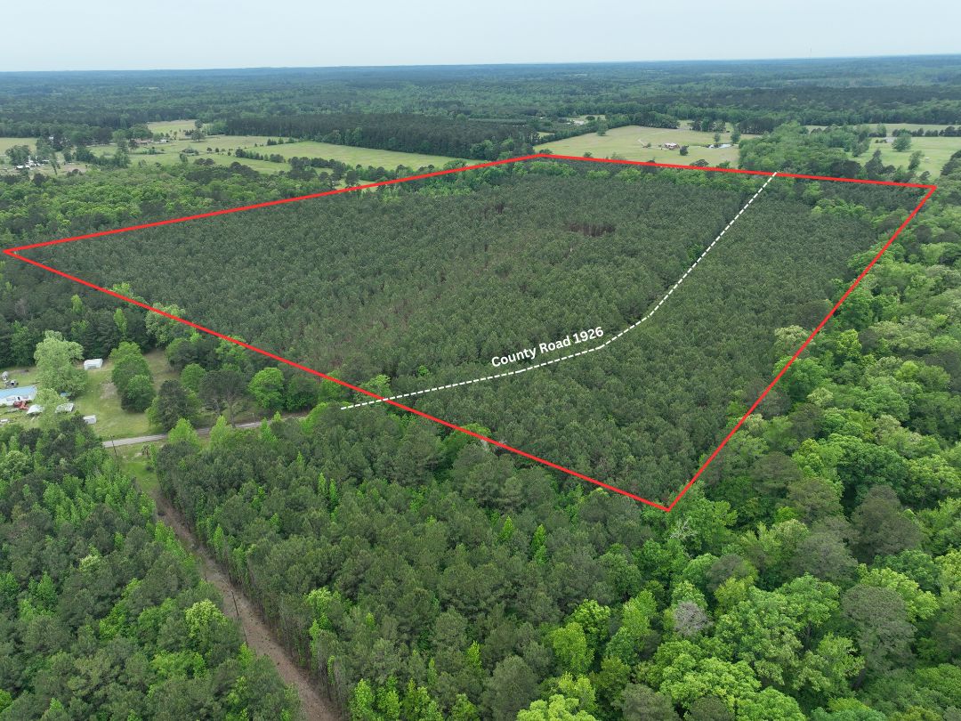 62.89 acres in Cass County, Texas