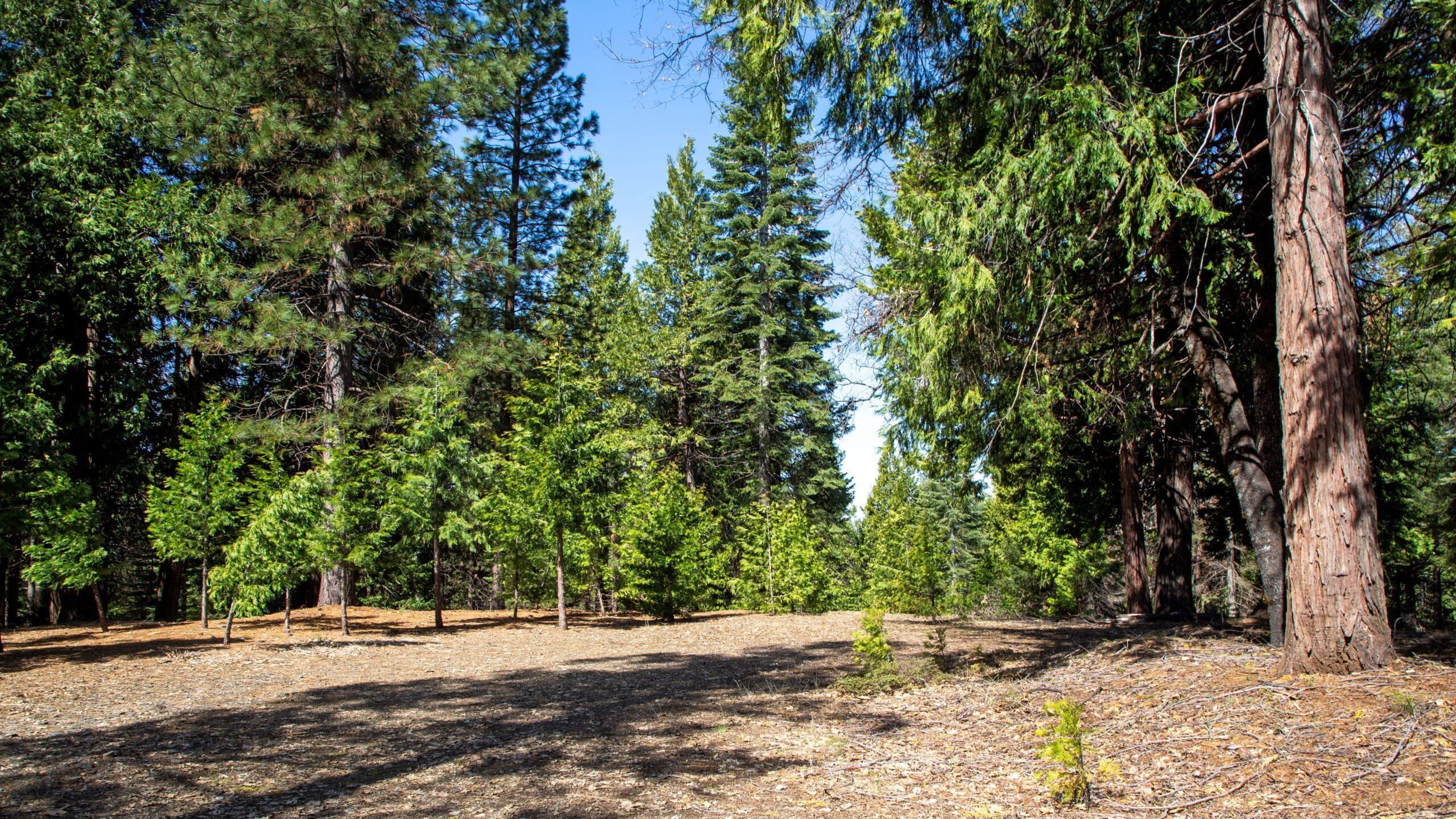 130.01 acres in El Dorado County, California