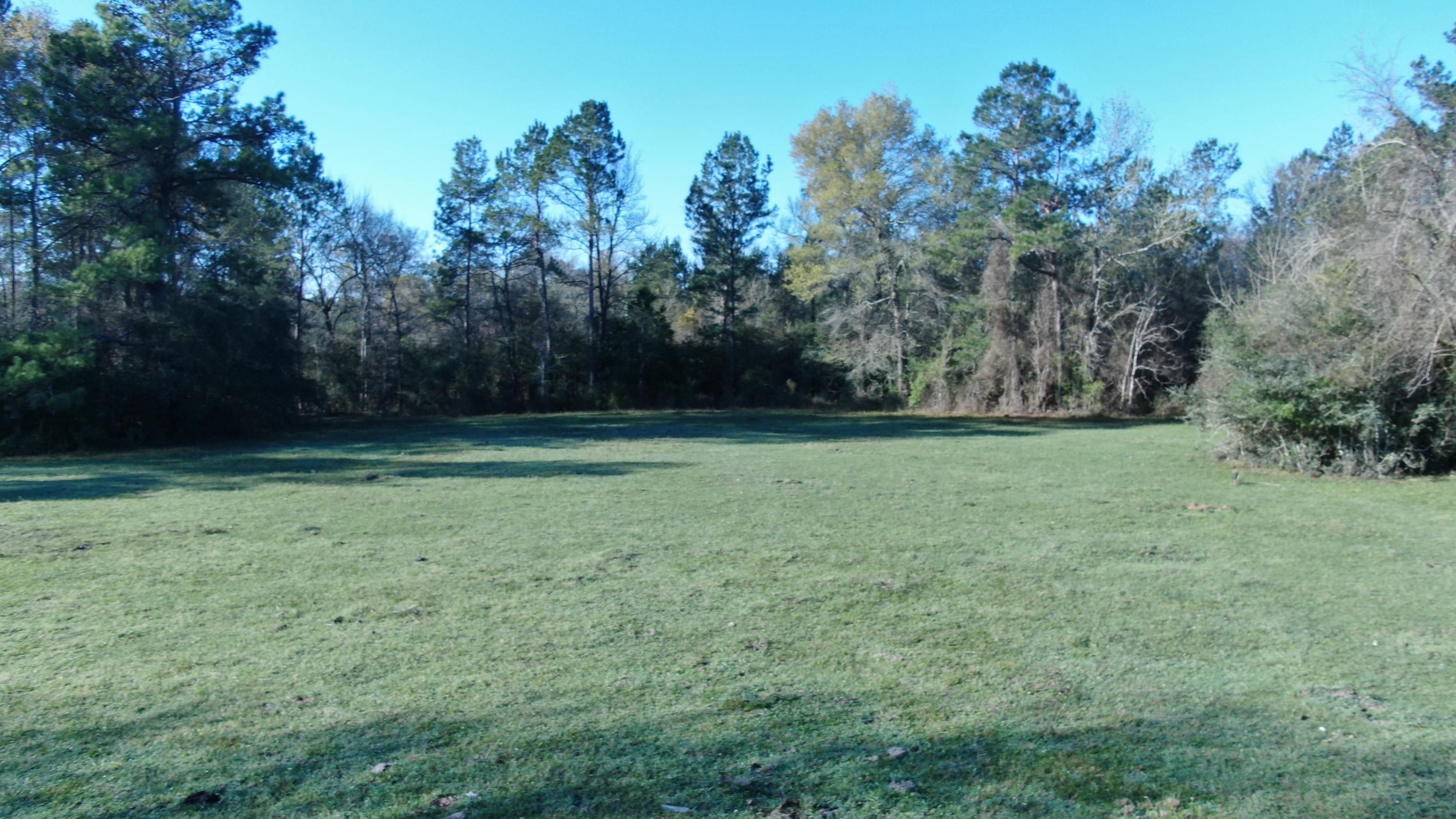 255.98 acres in San Jacinto County, Texas