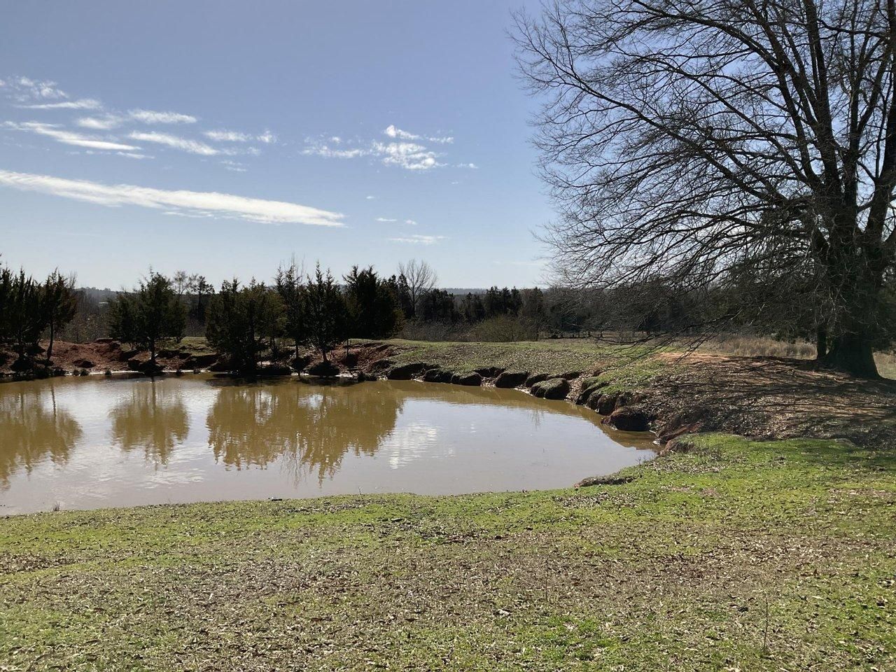 81 acres in Pope County, Arkansas