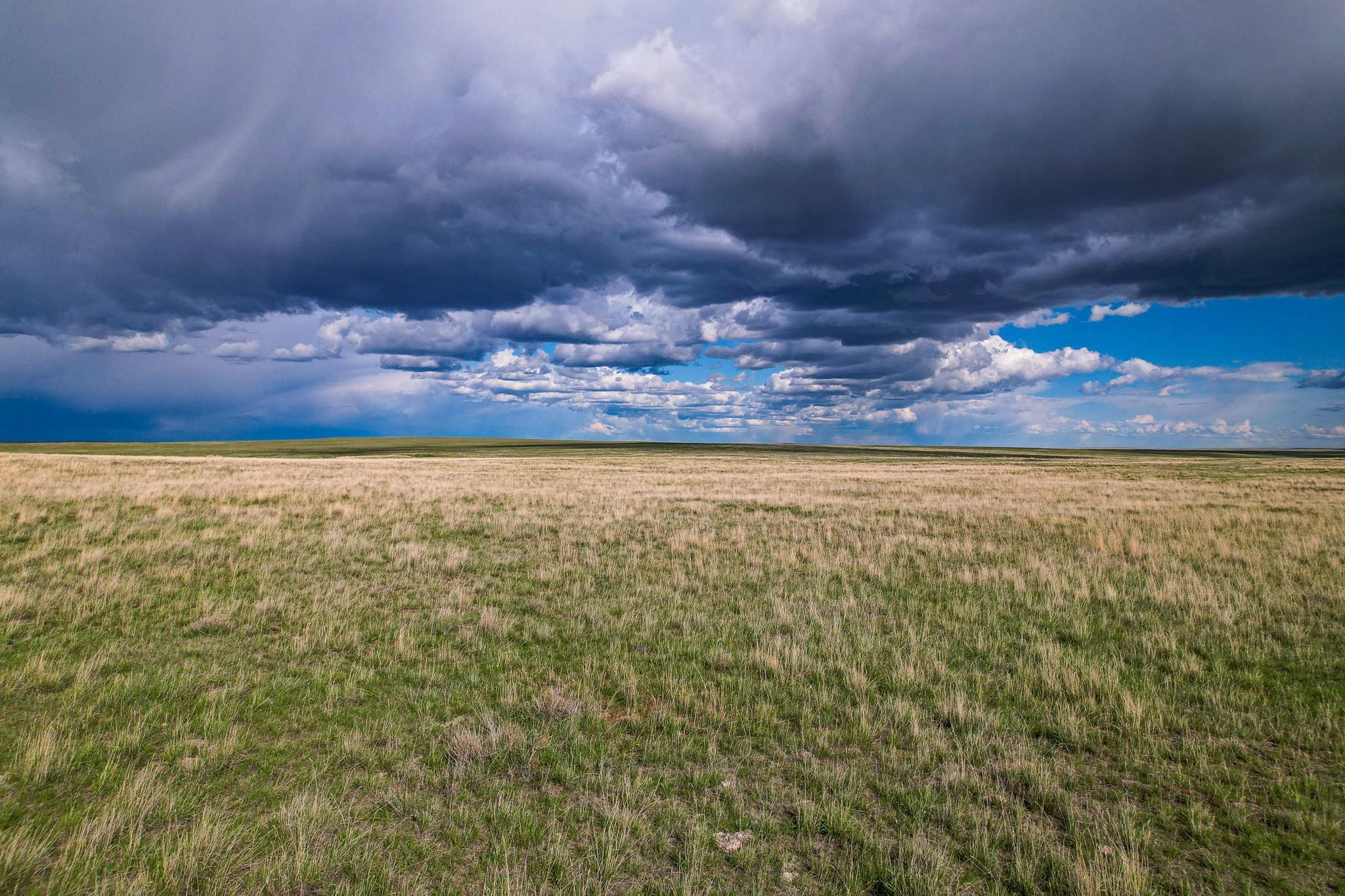 1,488 acres in Phillips County, Montana