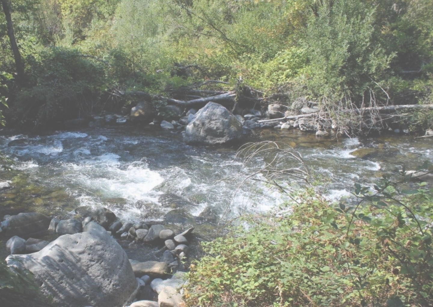 20 acres in Plumas County, California