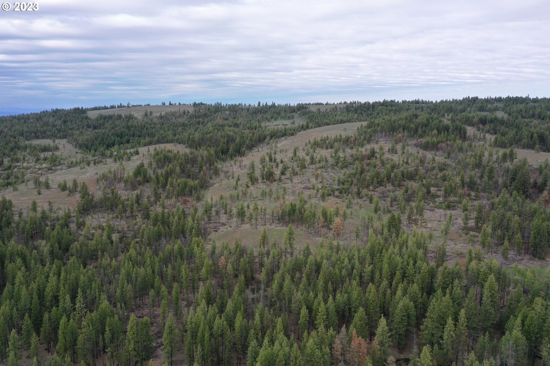 80 acres in Klickitat County, Washington