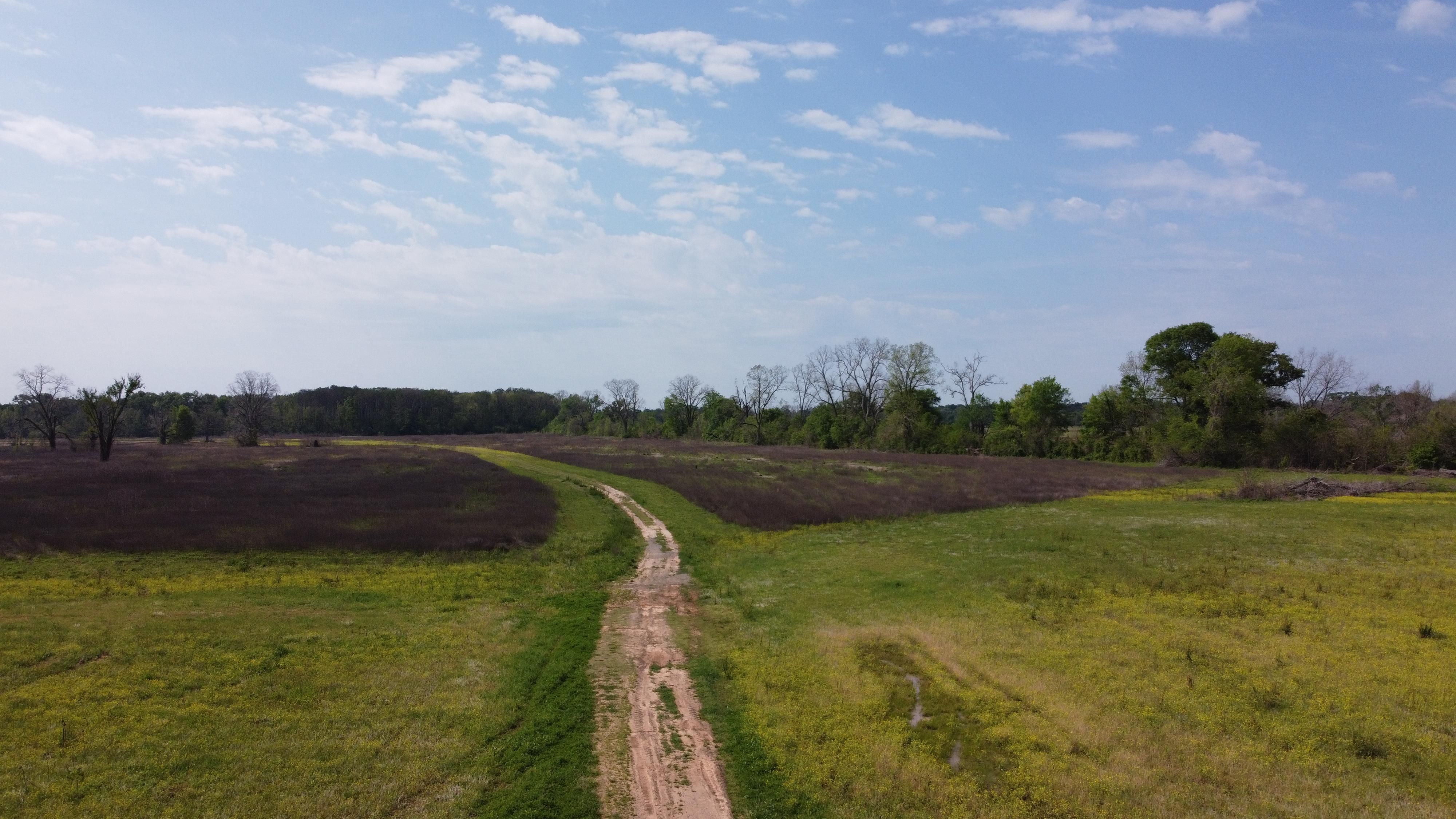 553 acres in Natchitoches Parish, Louisiana