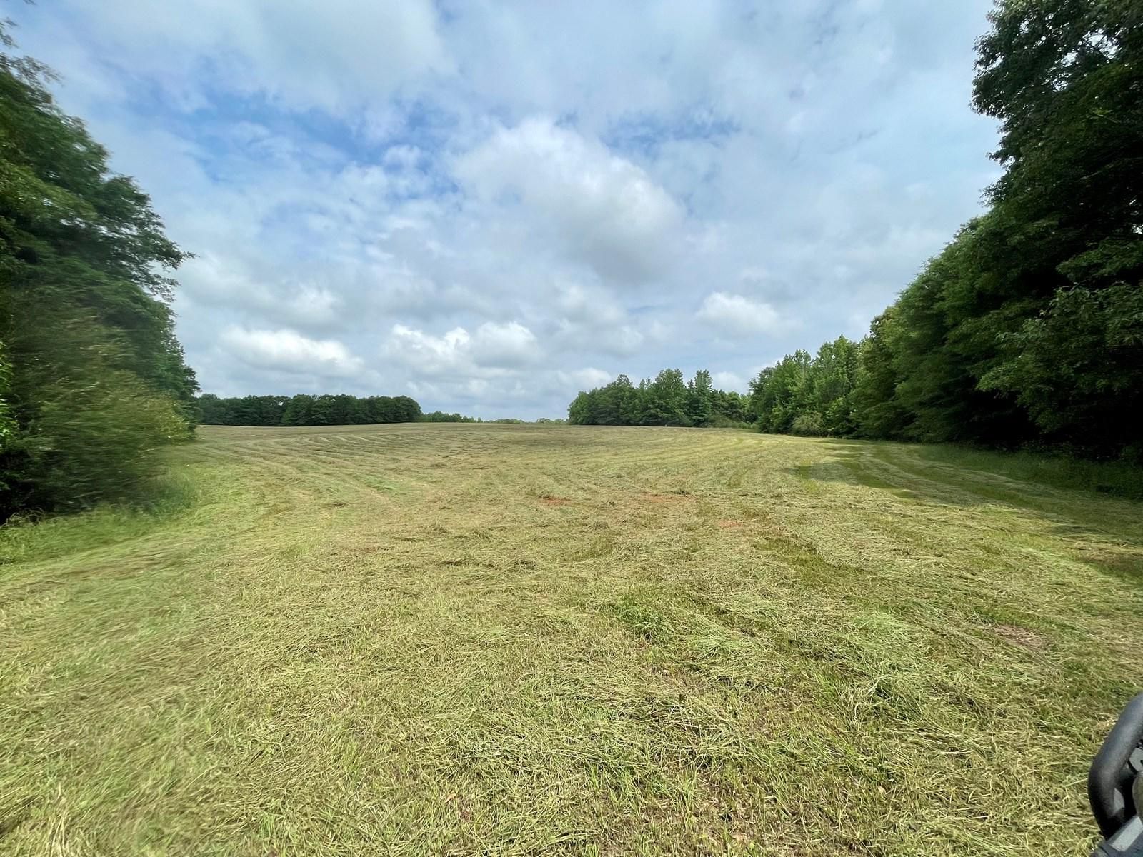 Hollyhill Road, Greenville, AL 36037 MLS 0102423050