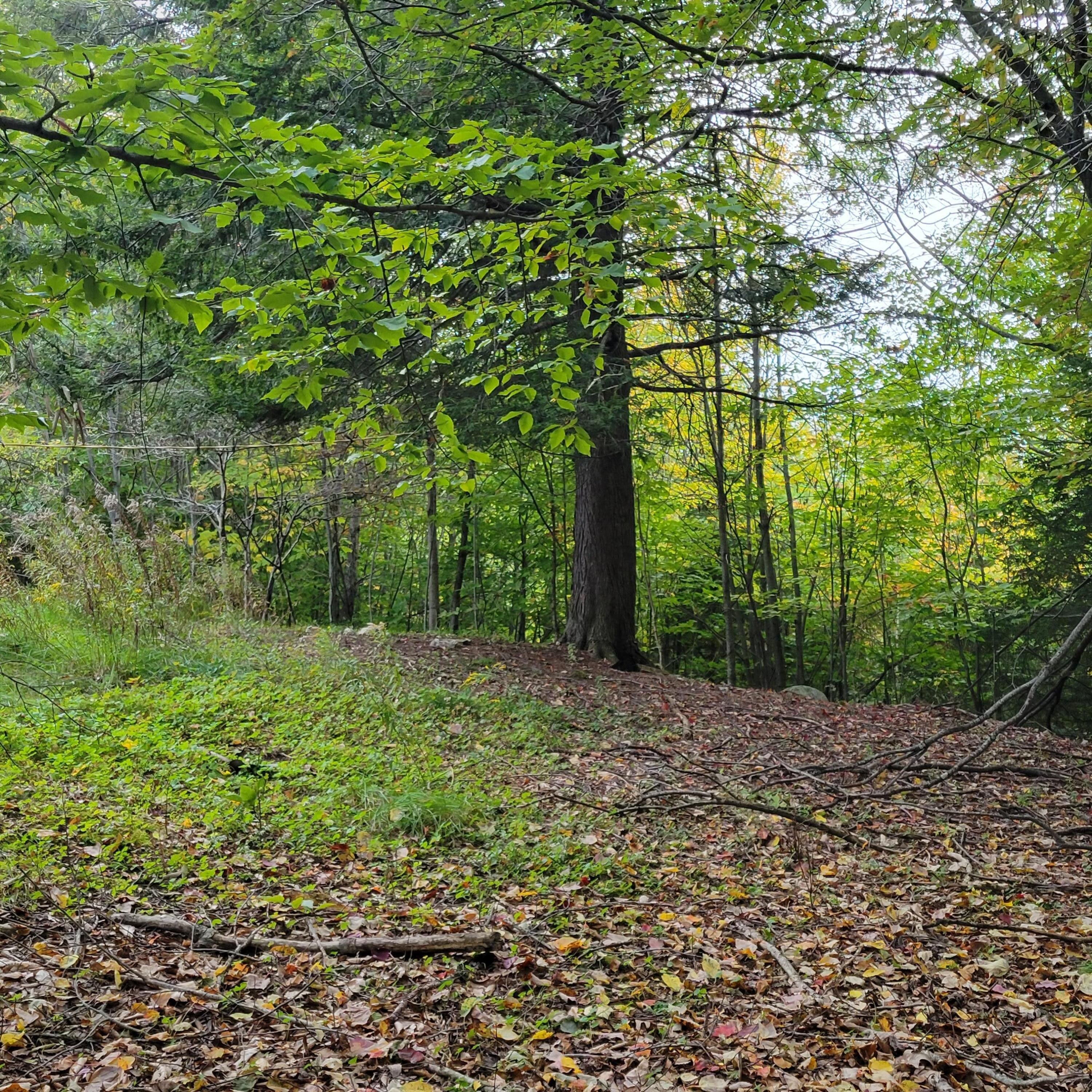 7 acres in Cumberland County, Maine