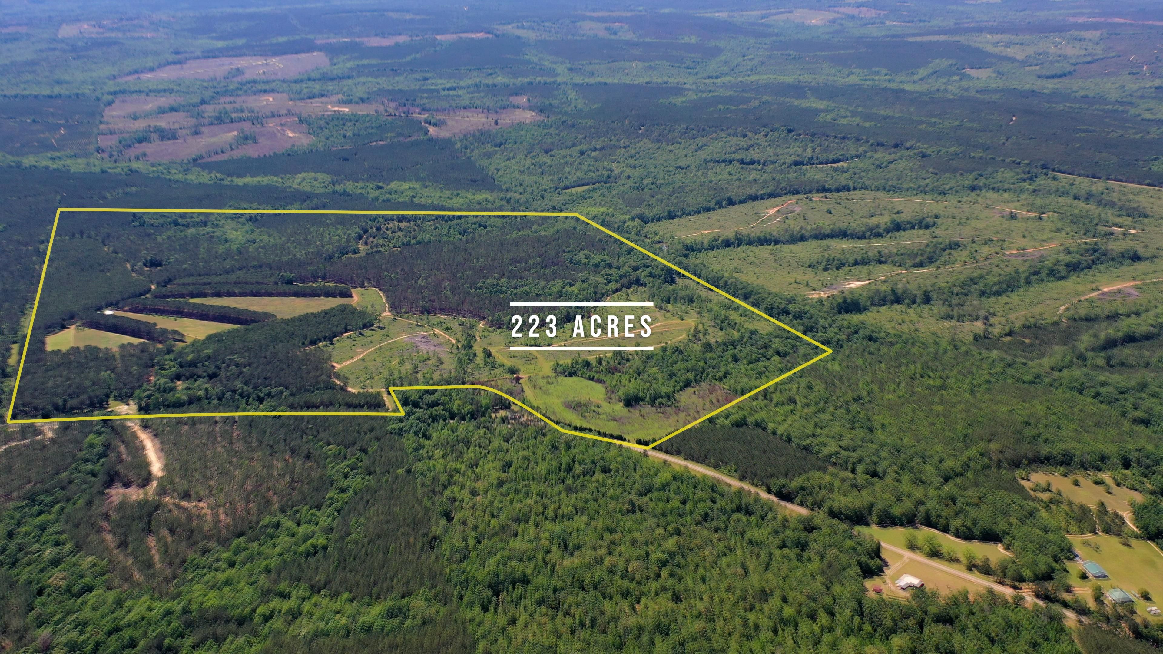 228 acres in Quitman County,