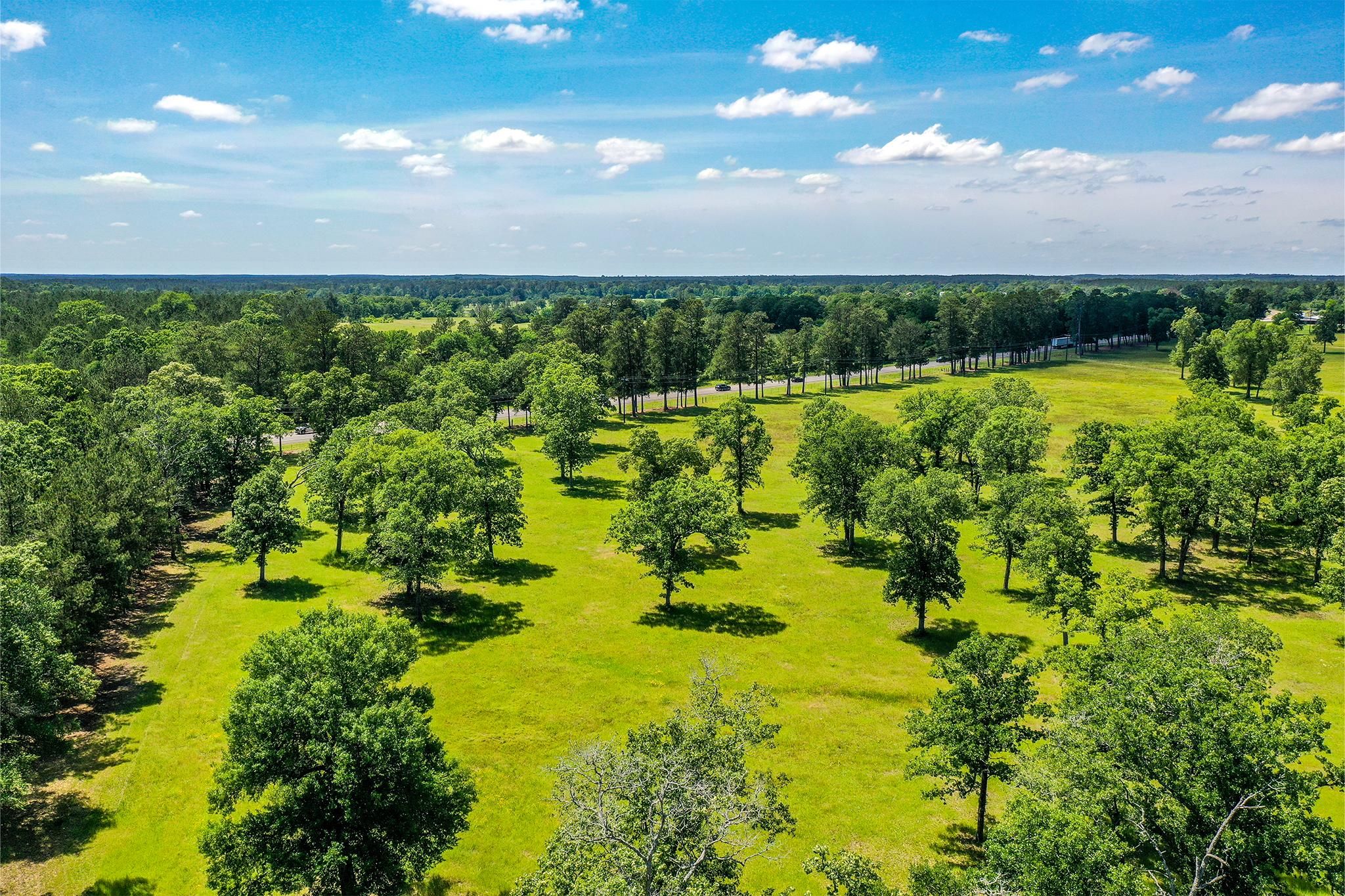 20 acres in Trinity, TX, 75862 MLS 63054038