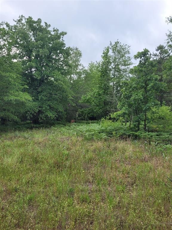7.4 acres in Camp County, Texas