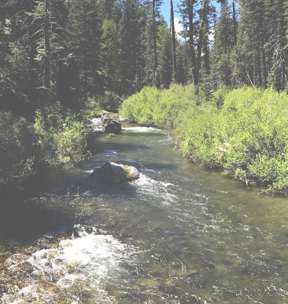 20 acres in Plumas County, California
