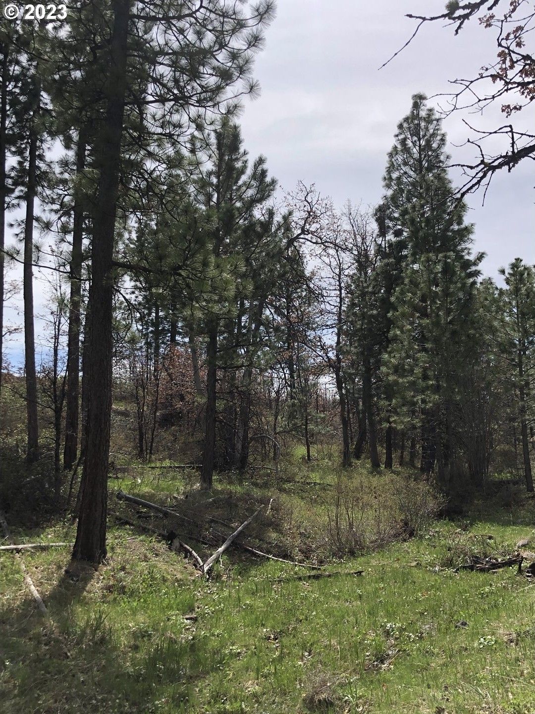 20 acres in Klickitat County, Washington