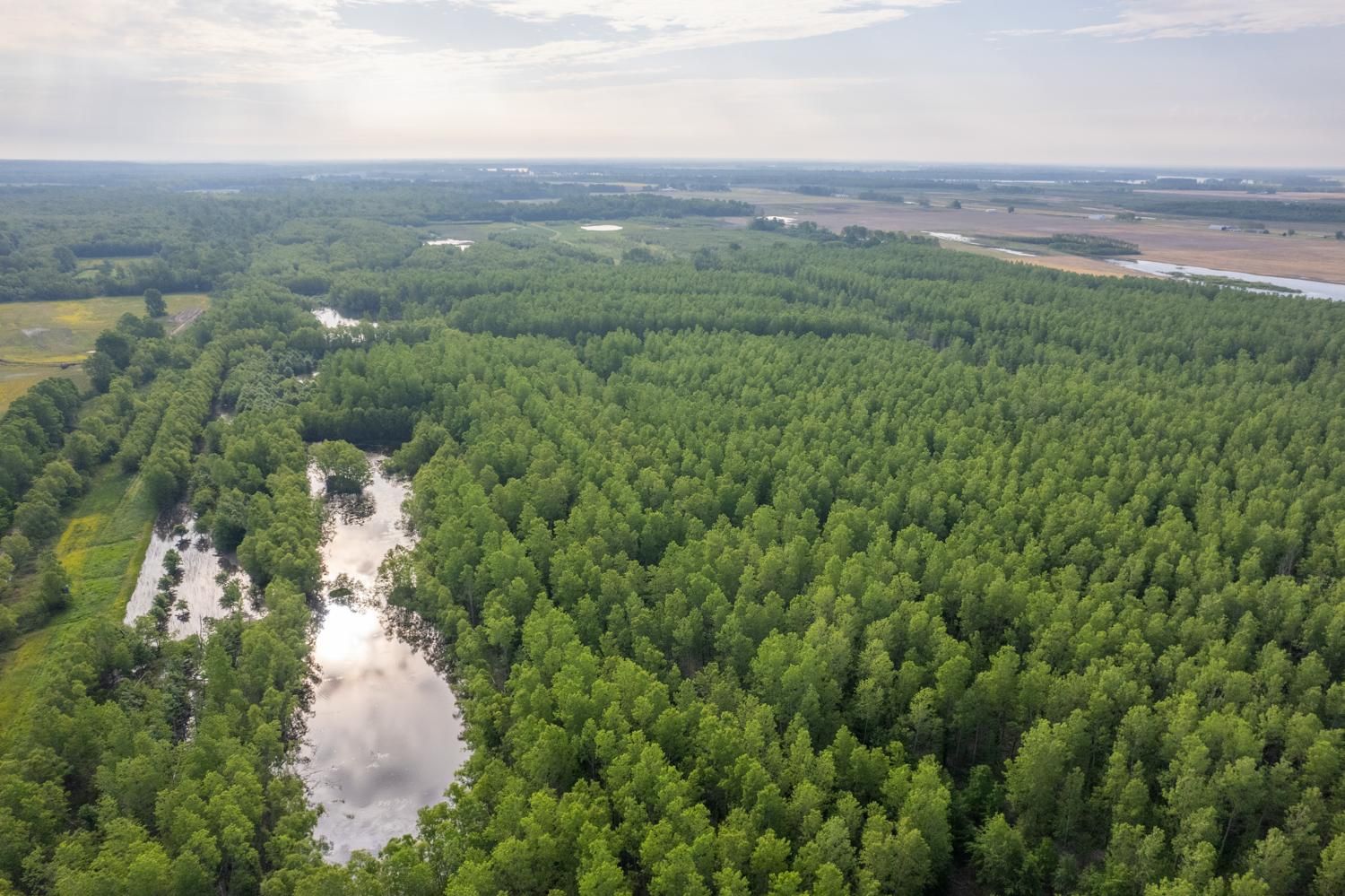 208 acres in Alexander County, Illinois