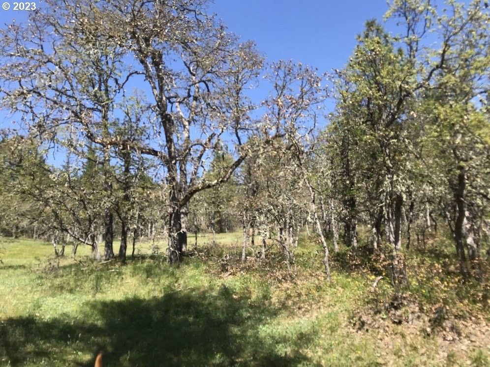 40 acres in Klickitat County, Washington