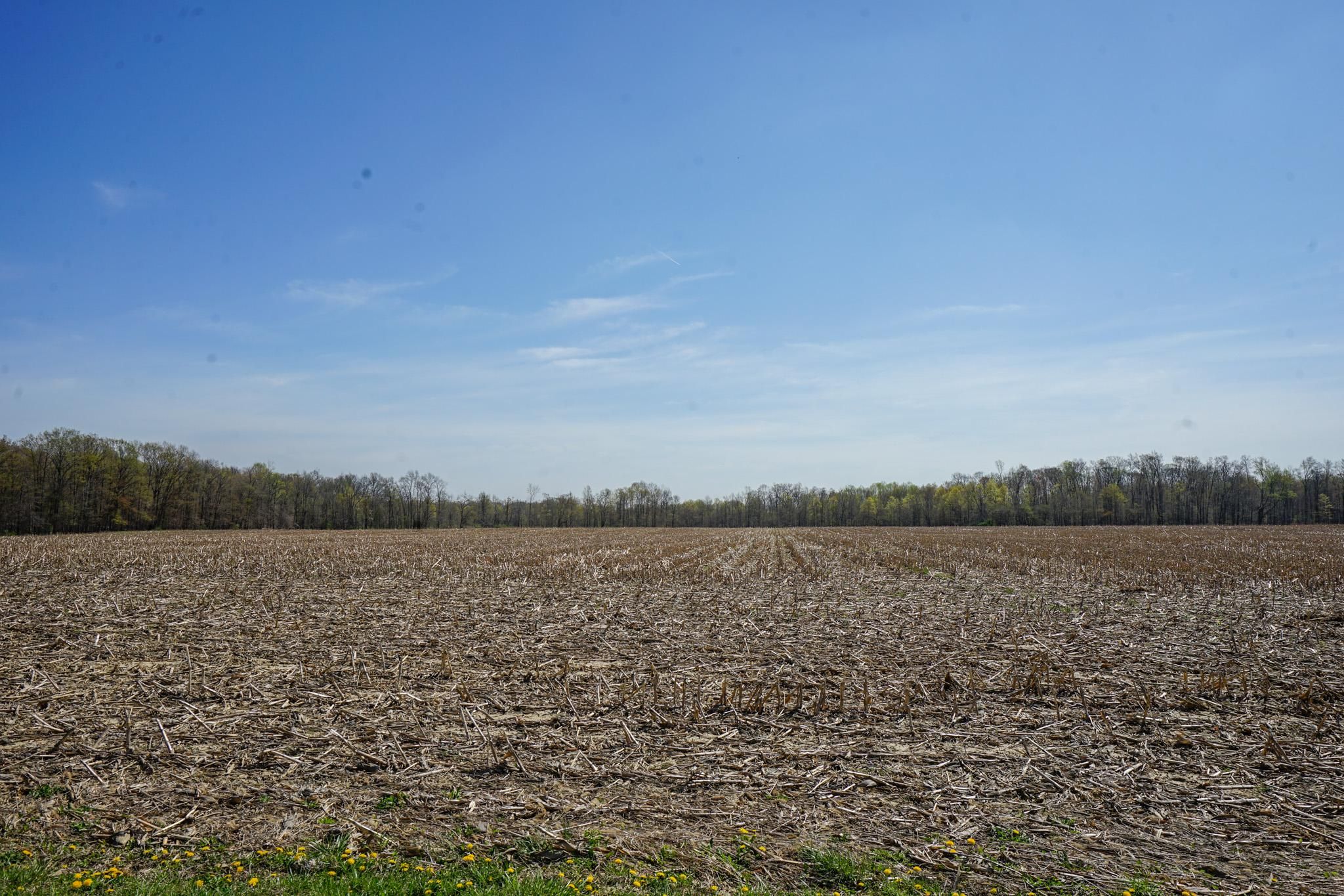 20 acres in Huron County, Ohio