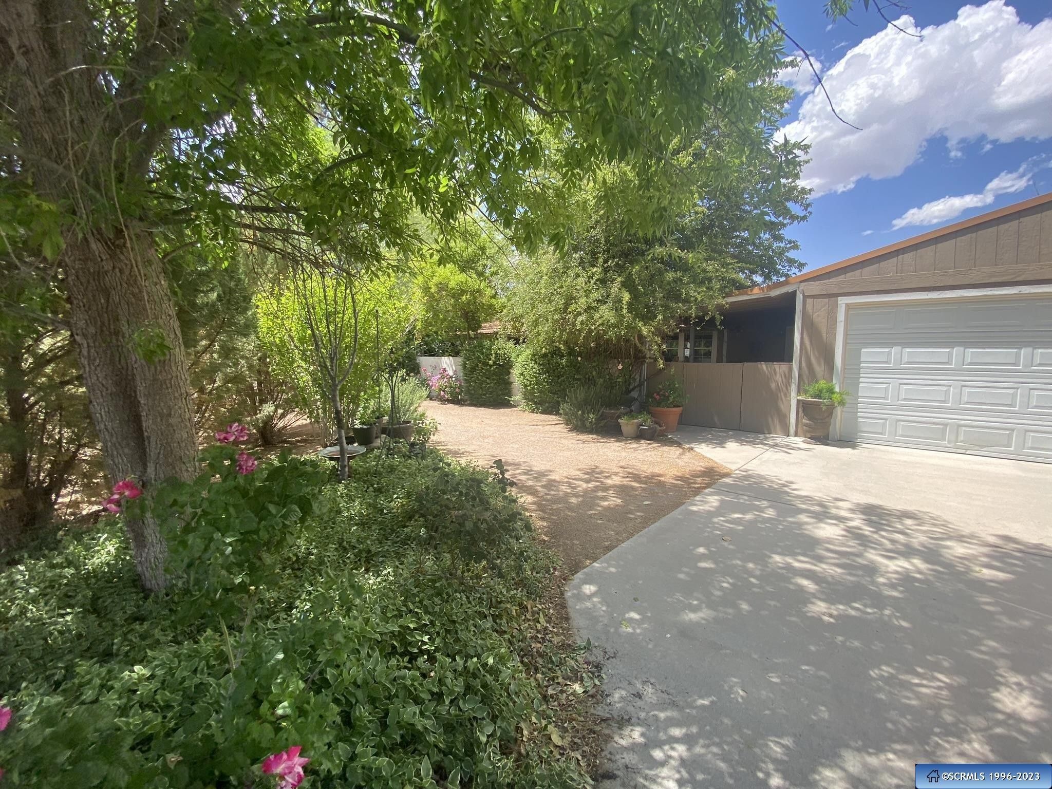 14.5 acres in Hidalgo County, New Mexico