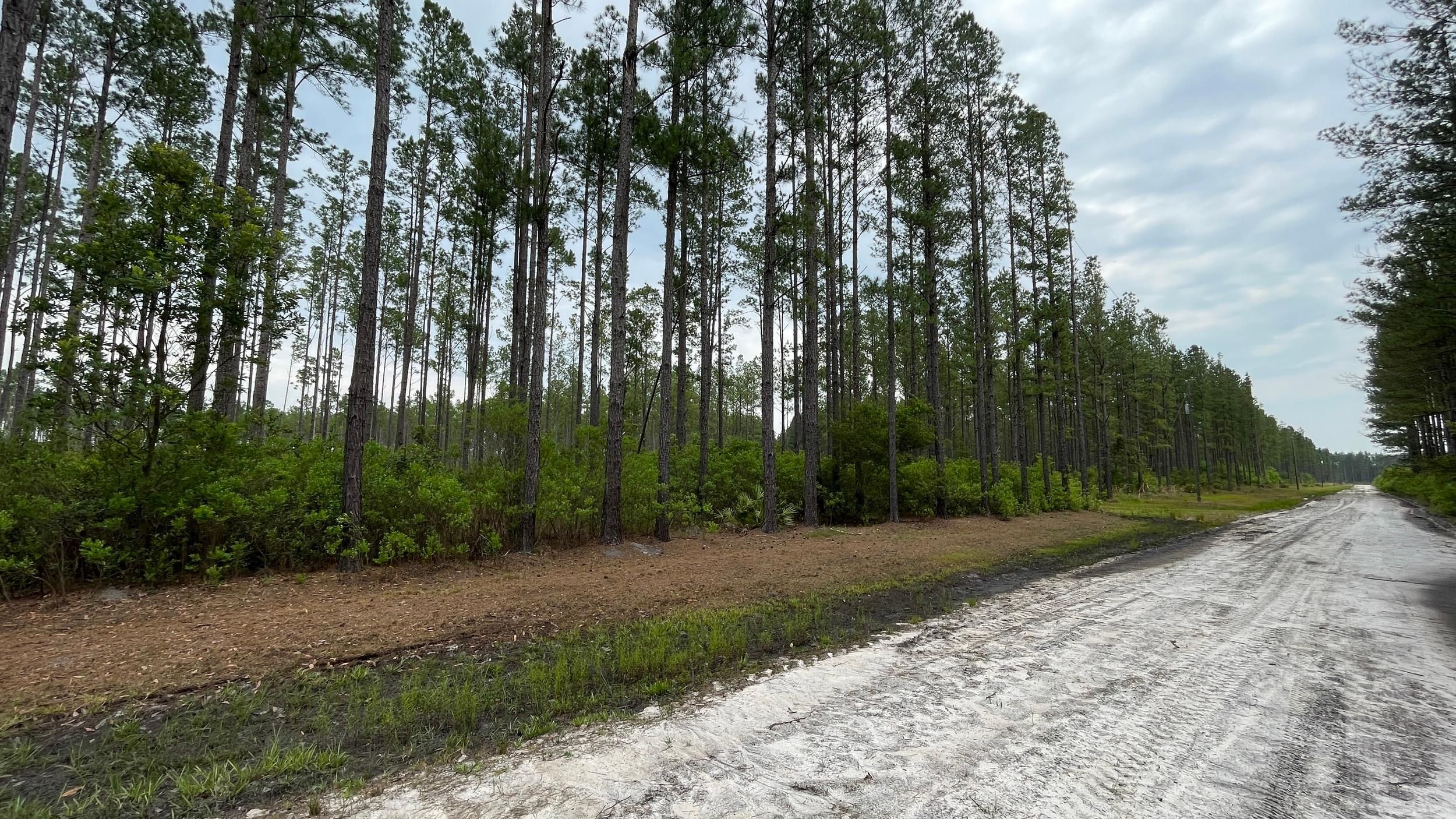 0 Red Bird Dr., Millwood, Ware, GA 31552, Millwood, GA 31552 MLS