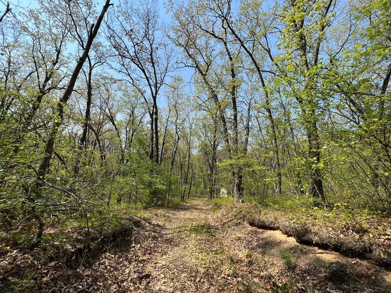 10.02 acres in County, Michigan