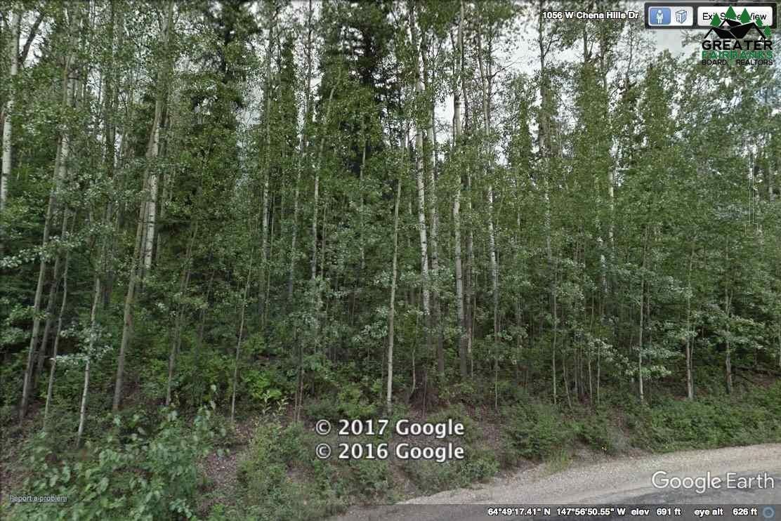 L24B5 NHN FORREST DRIVE, Fairbanks, AK 99709 MLS 152420