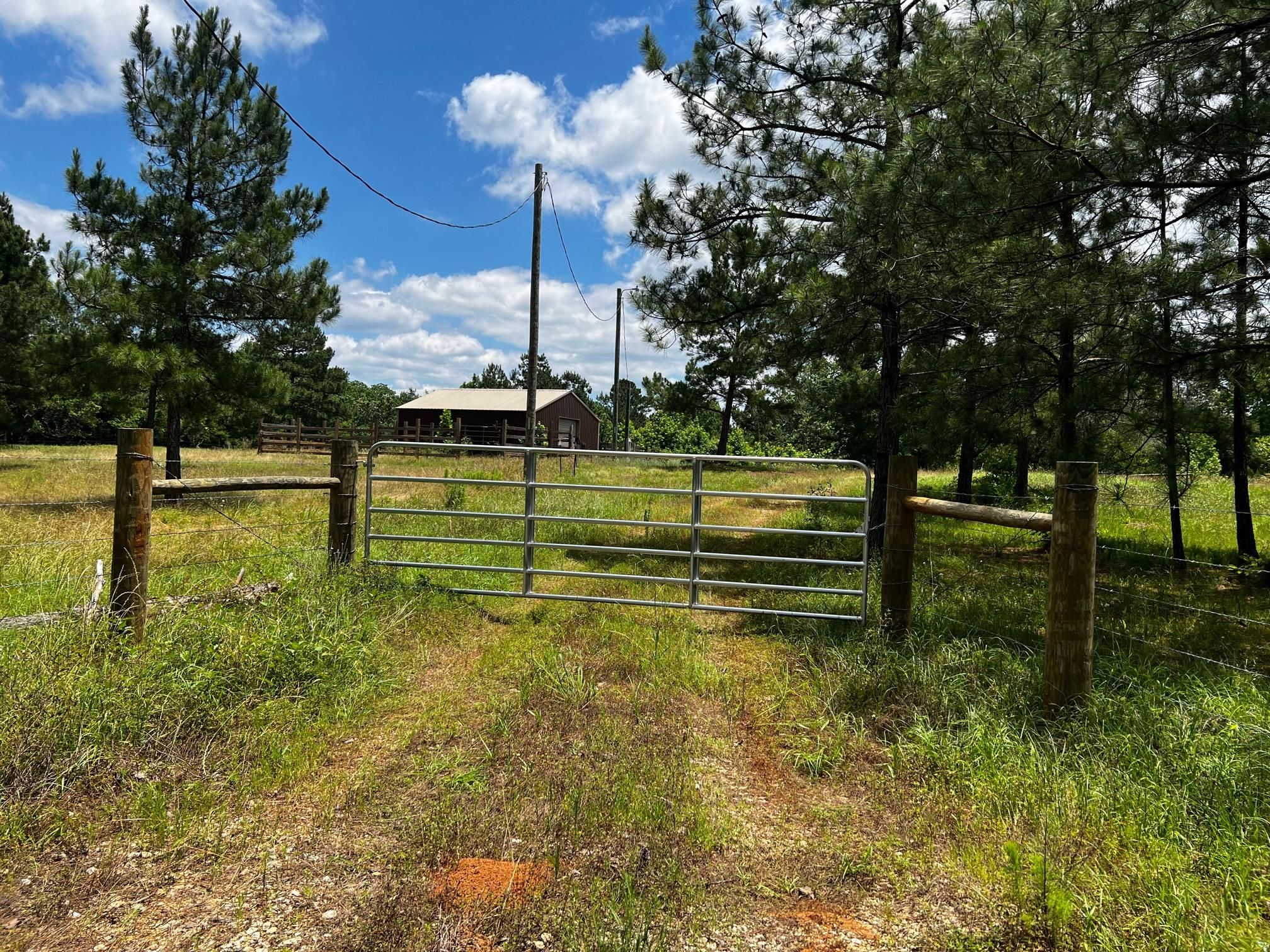 10.1 acres in Houston County, Texas