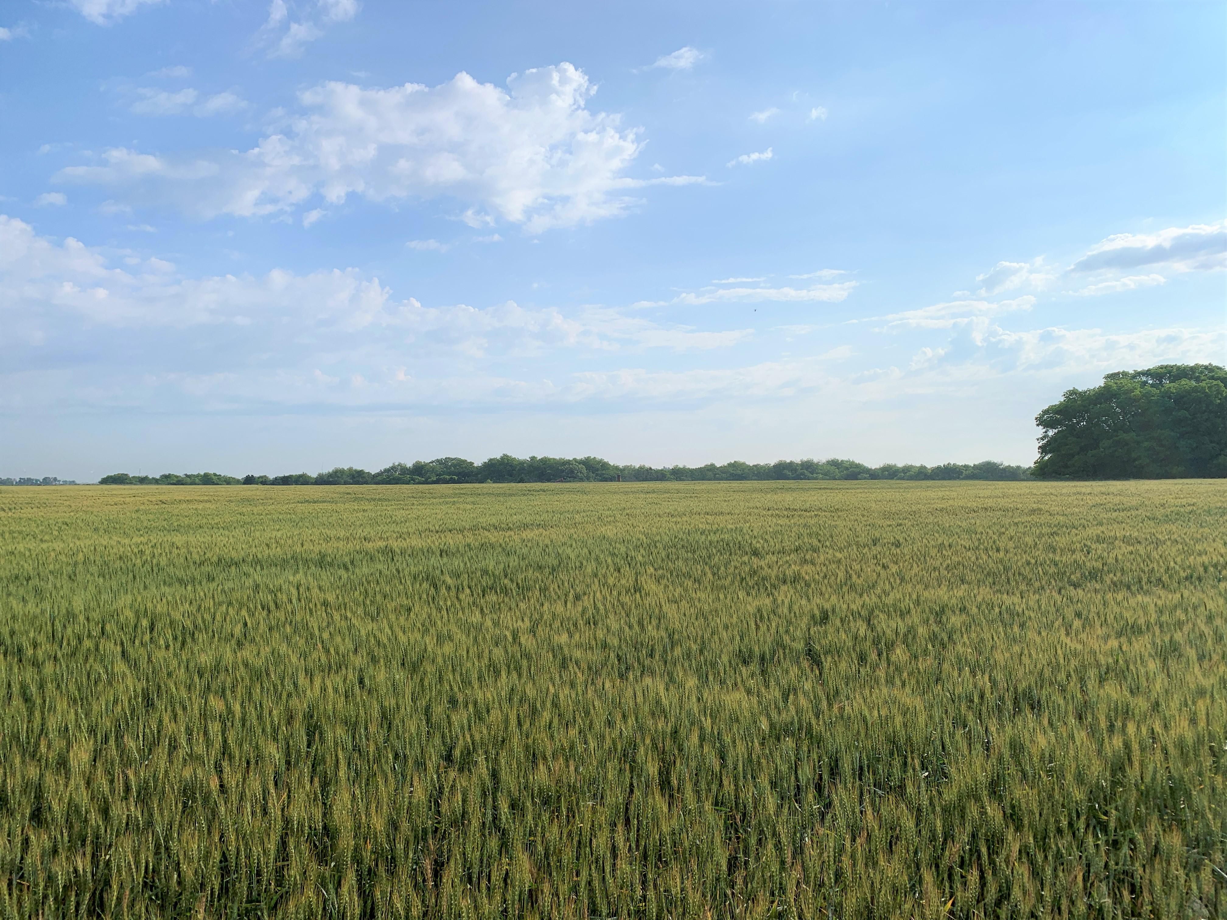 80 acres in Alfalfa County, Oklahoma