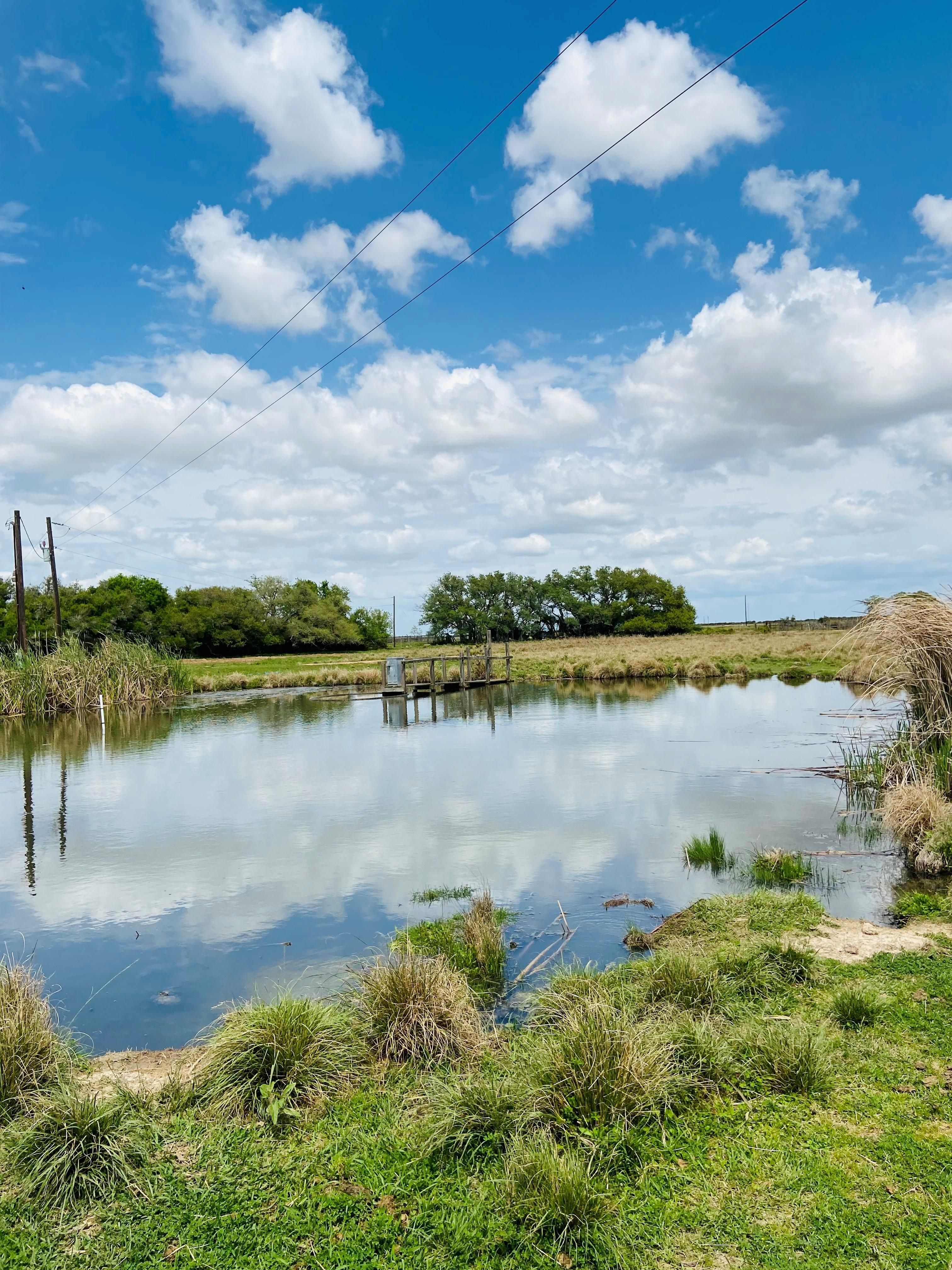 74.5 acres in Colorado County, Texas