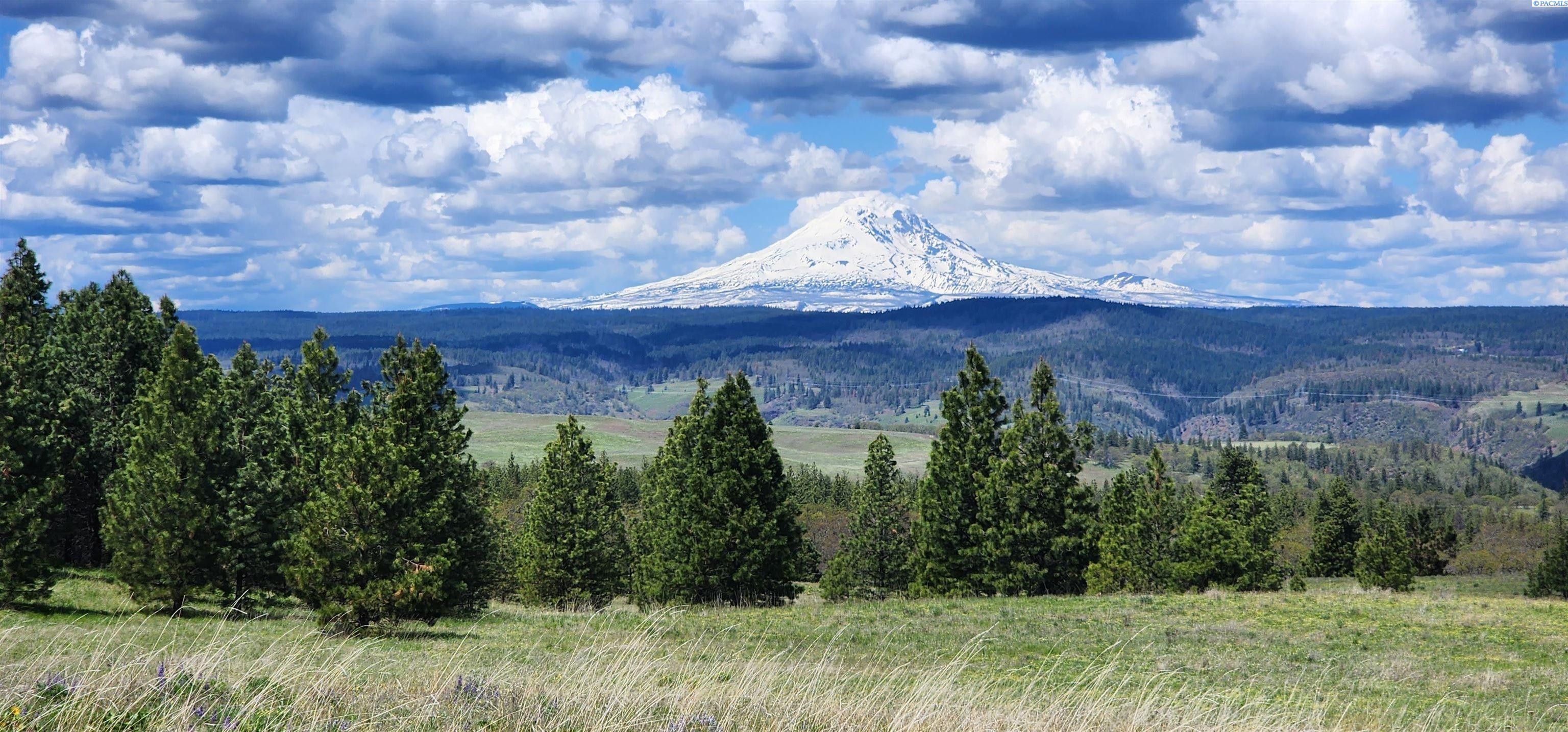 20 acres in Klickitat County, Washington