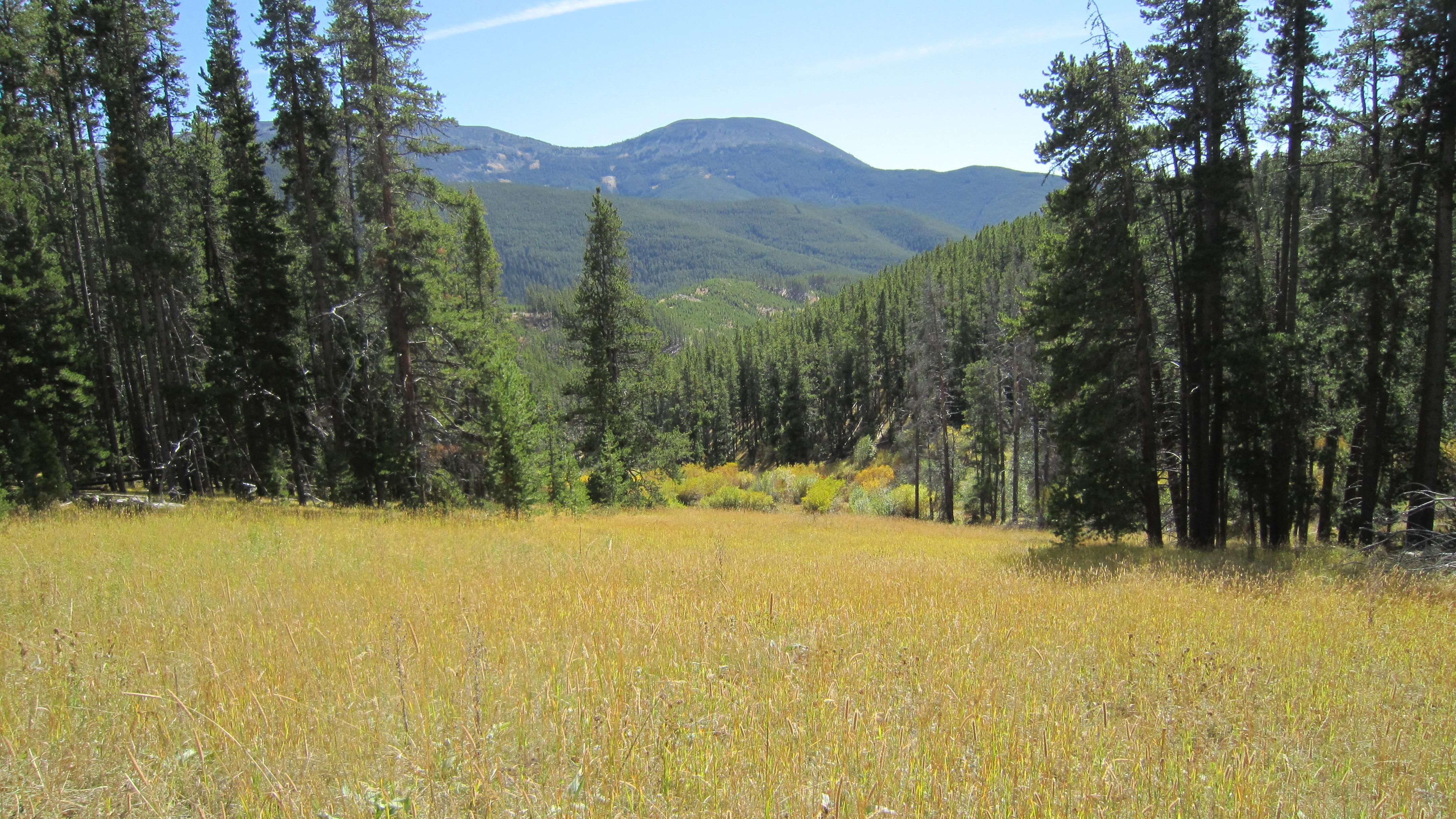 Pioneer Lane, Neihart, MT 59465