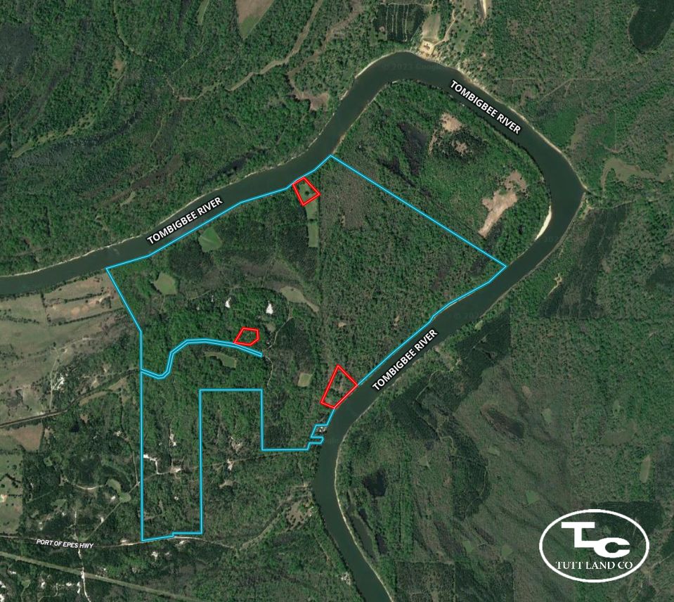 770 acres in Sumter County, Alabama