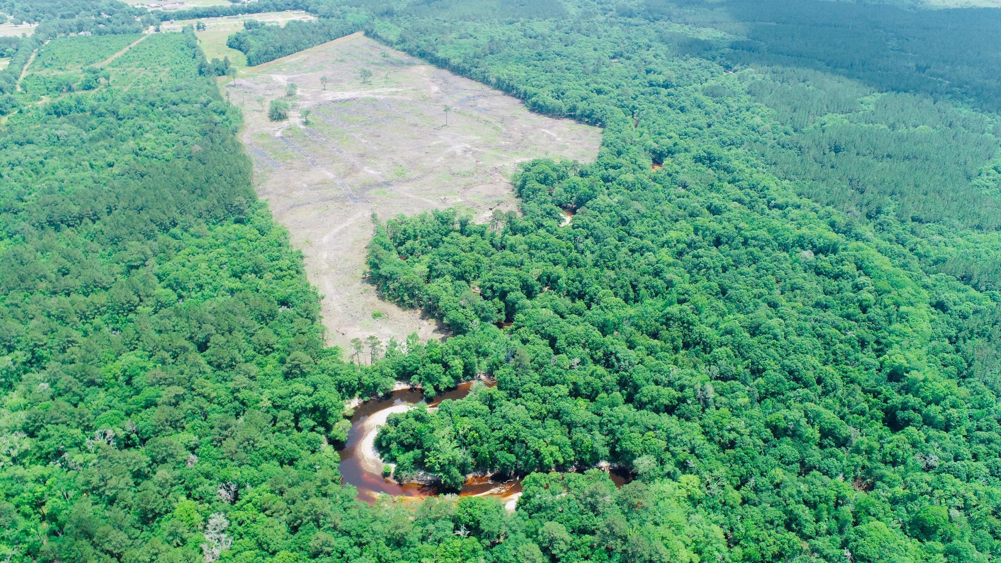 44 acres in Atkinson County,