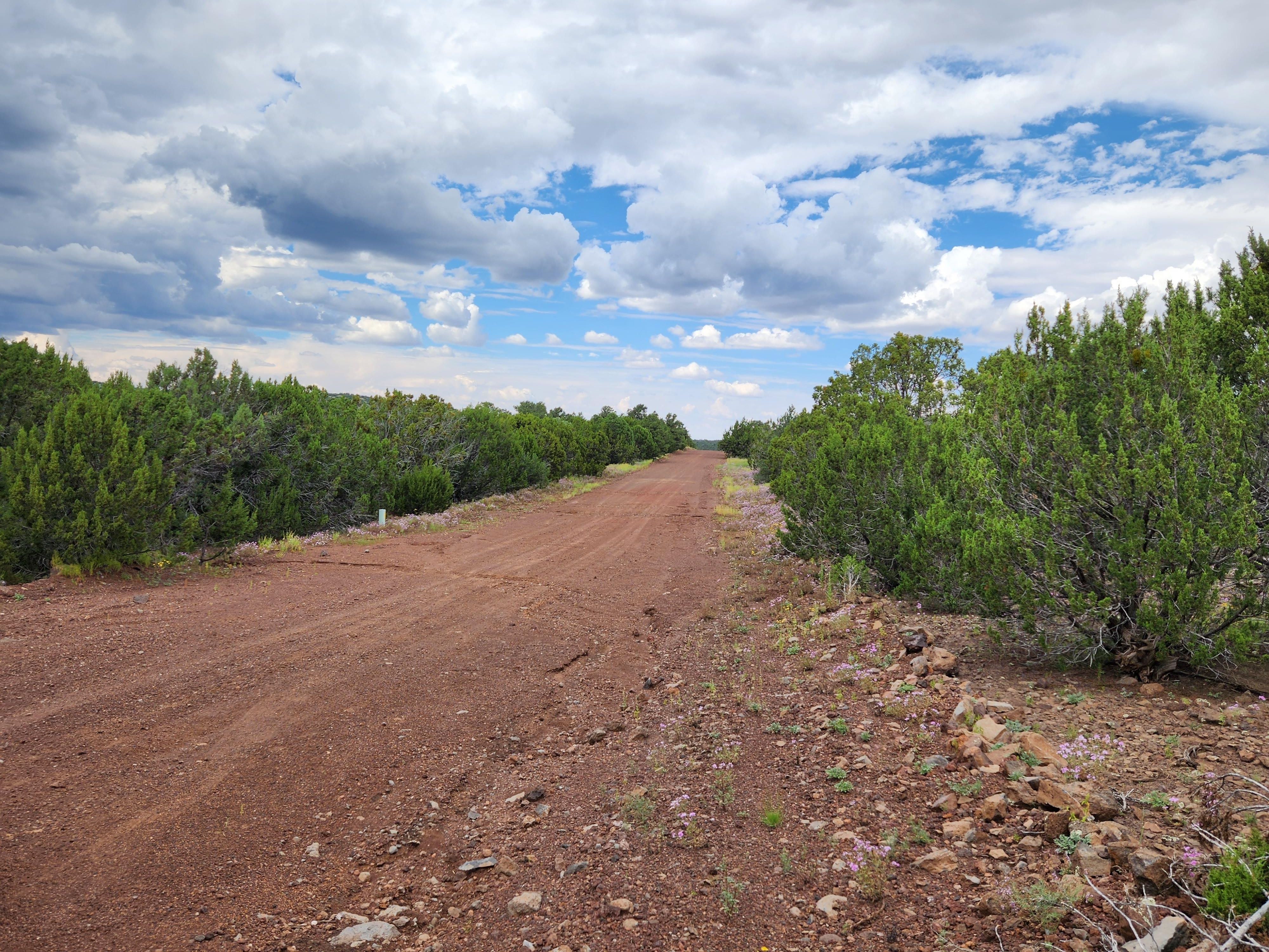 1.12 acres in Apache County, Arizona