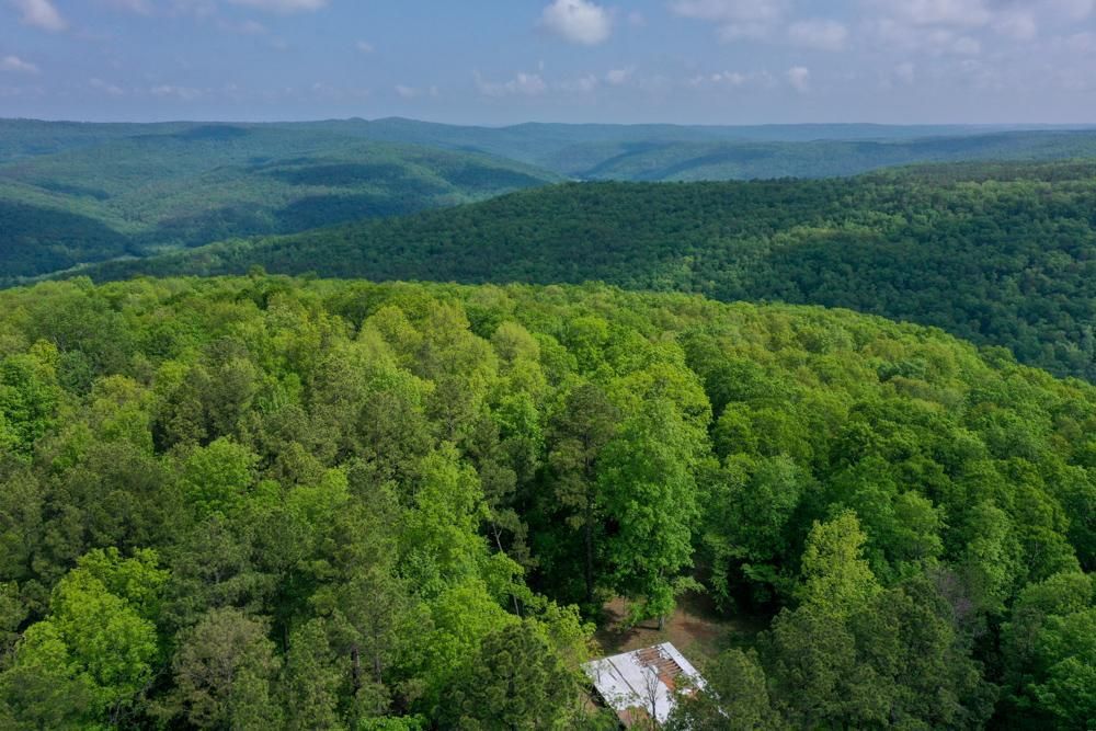 000 Outback Lane, Hector, AR 72843 MLS Pope 40