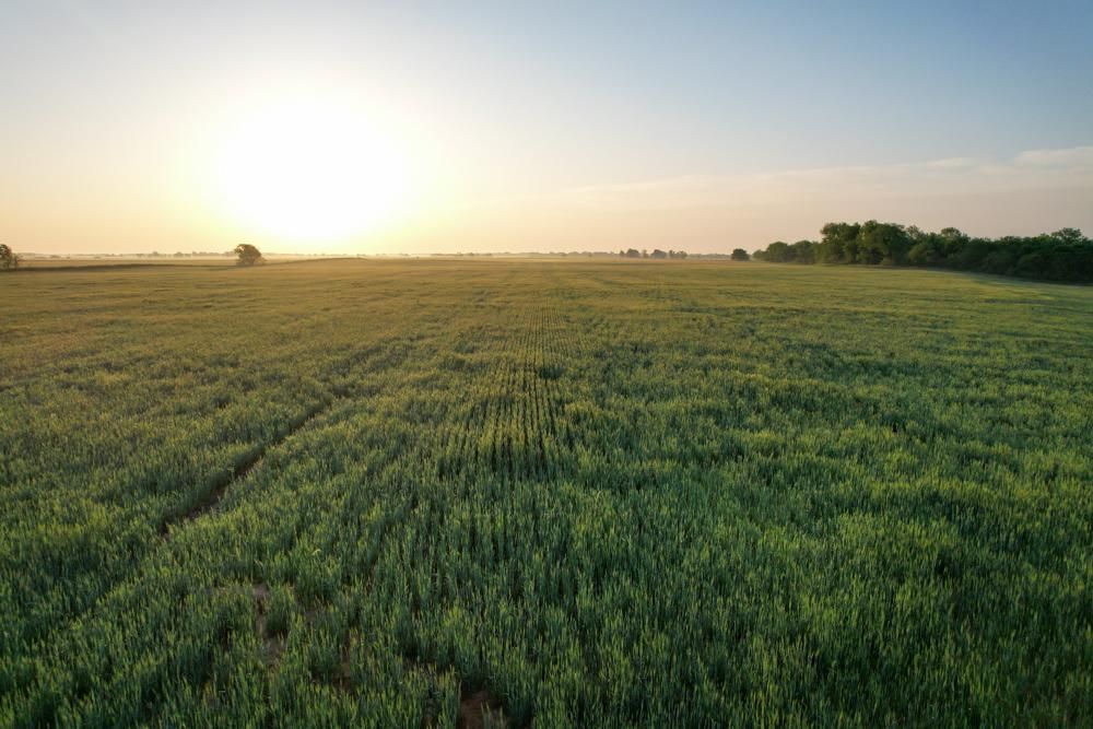 0000 CR 1010, Lamont, OK 74643 MLS Grant 120