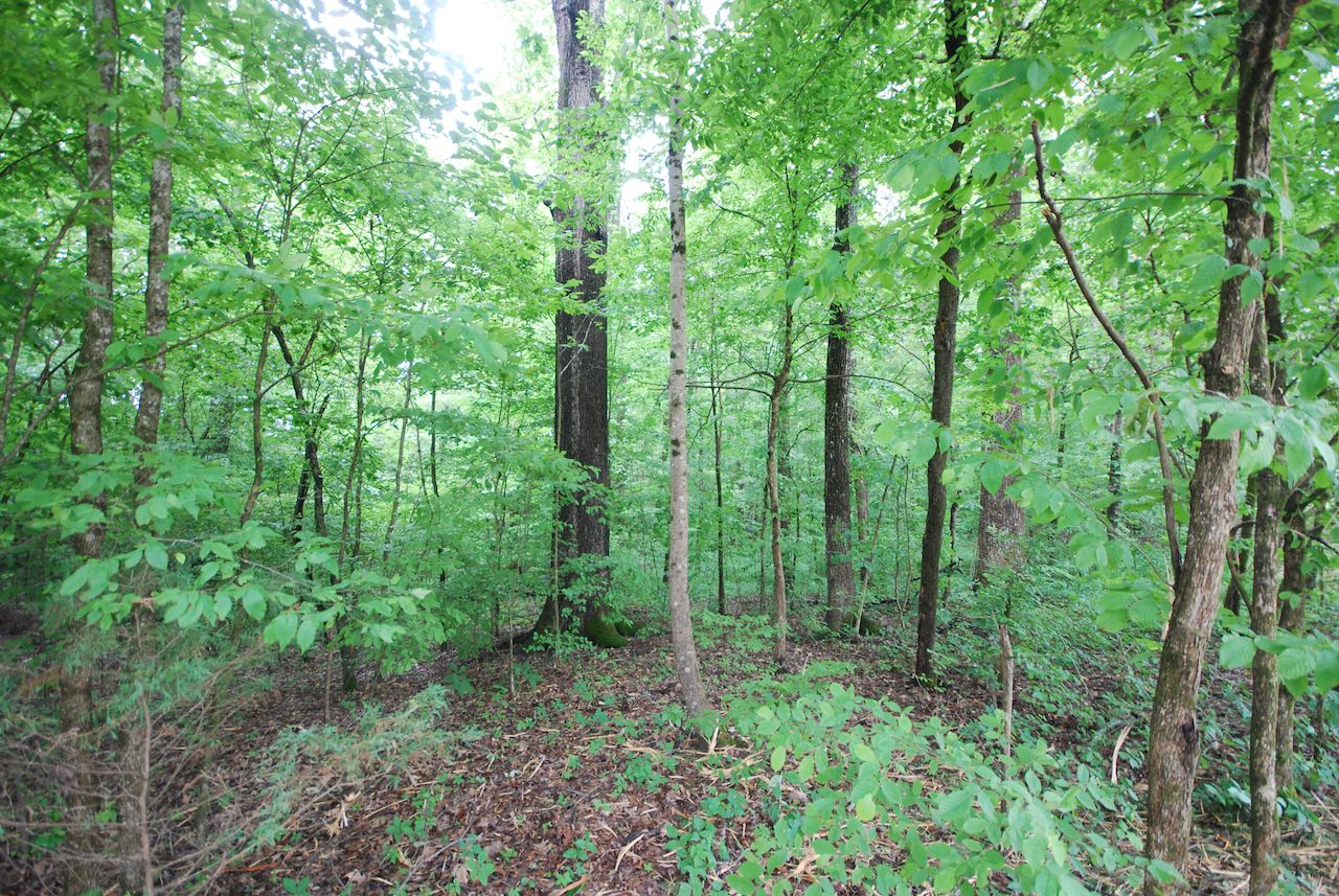 27 acres in Madison County, Tennessee