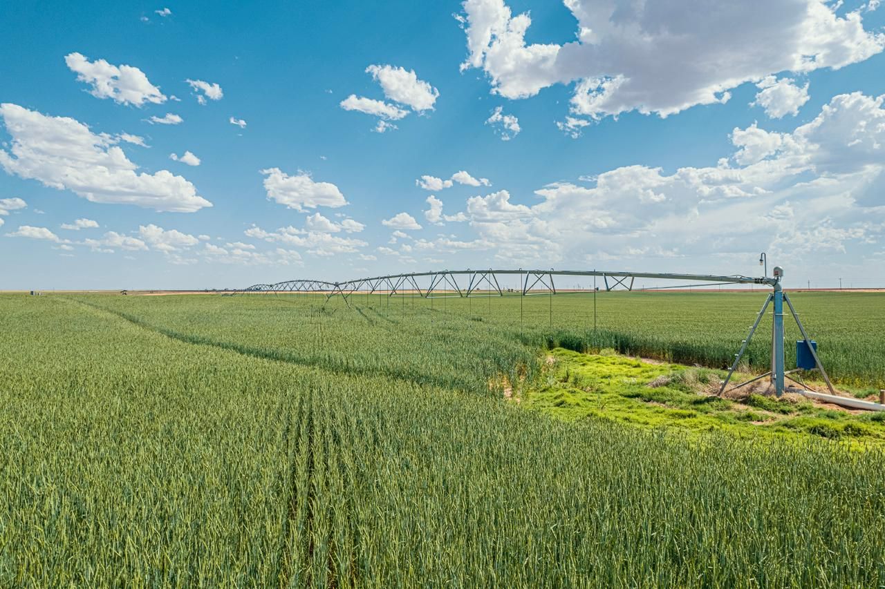 160 acres in Gaines County, Texas