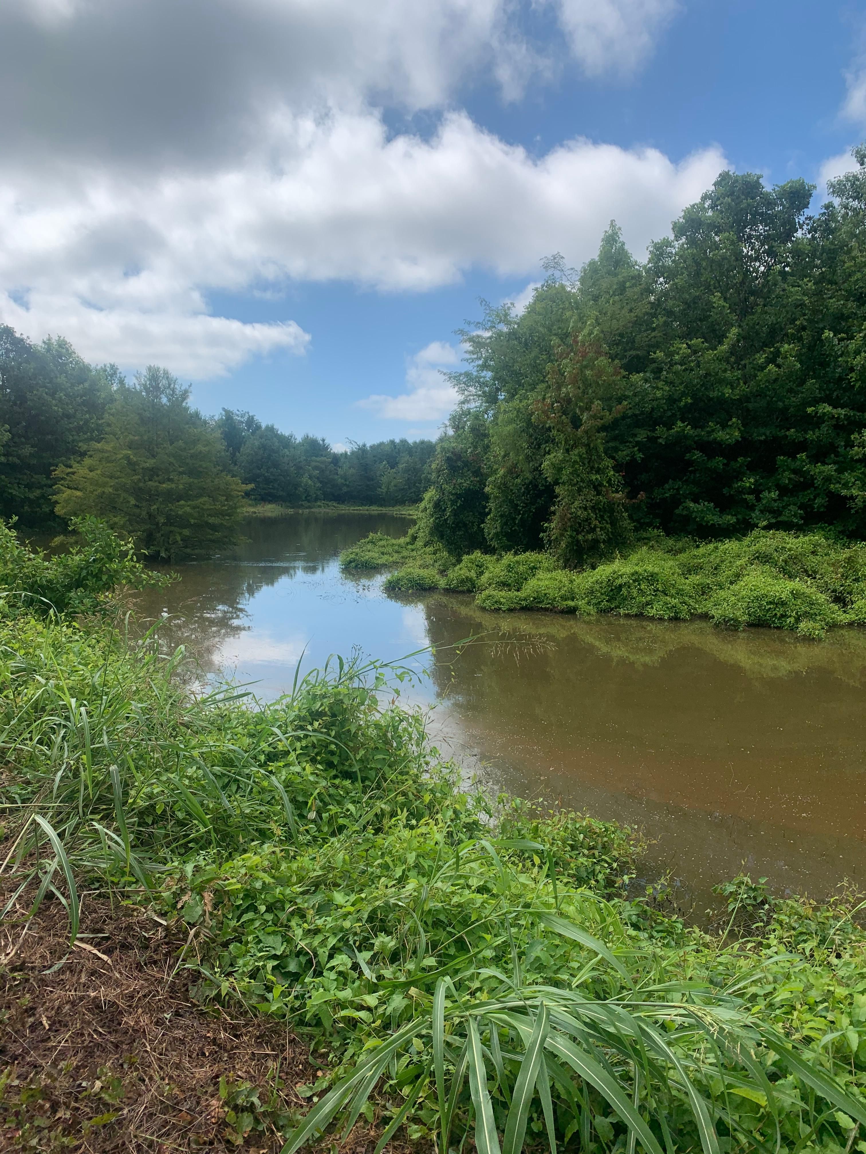 650 acres in Franklin Parish, Louisiana