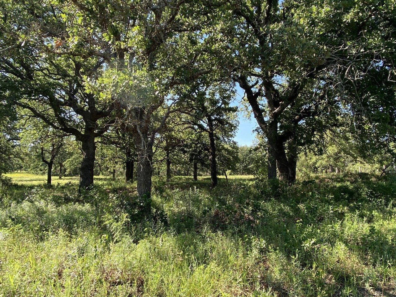 12 acres in Eastland County, Texas