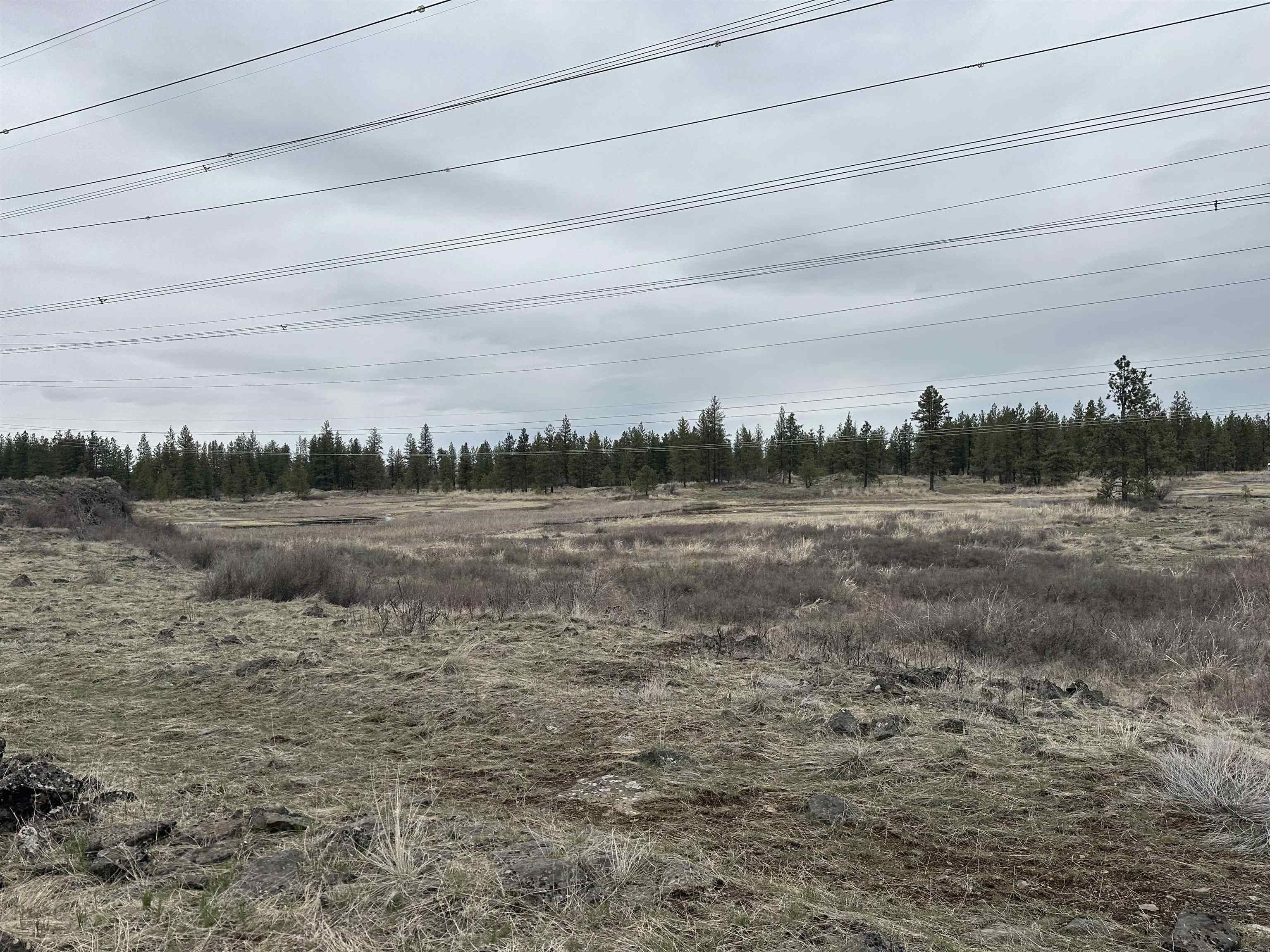 36.62 acres in Lincoln County, Washington