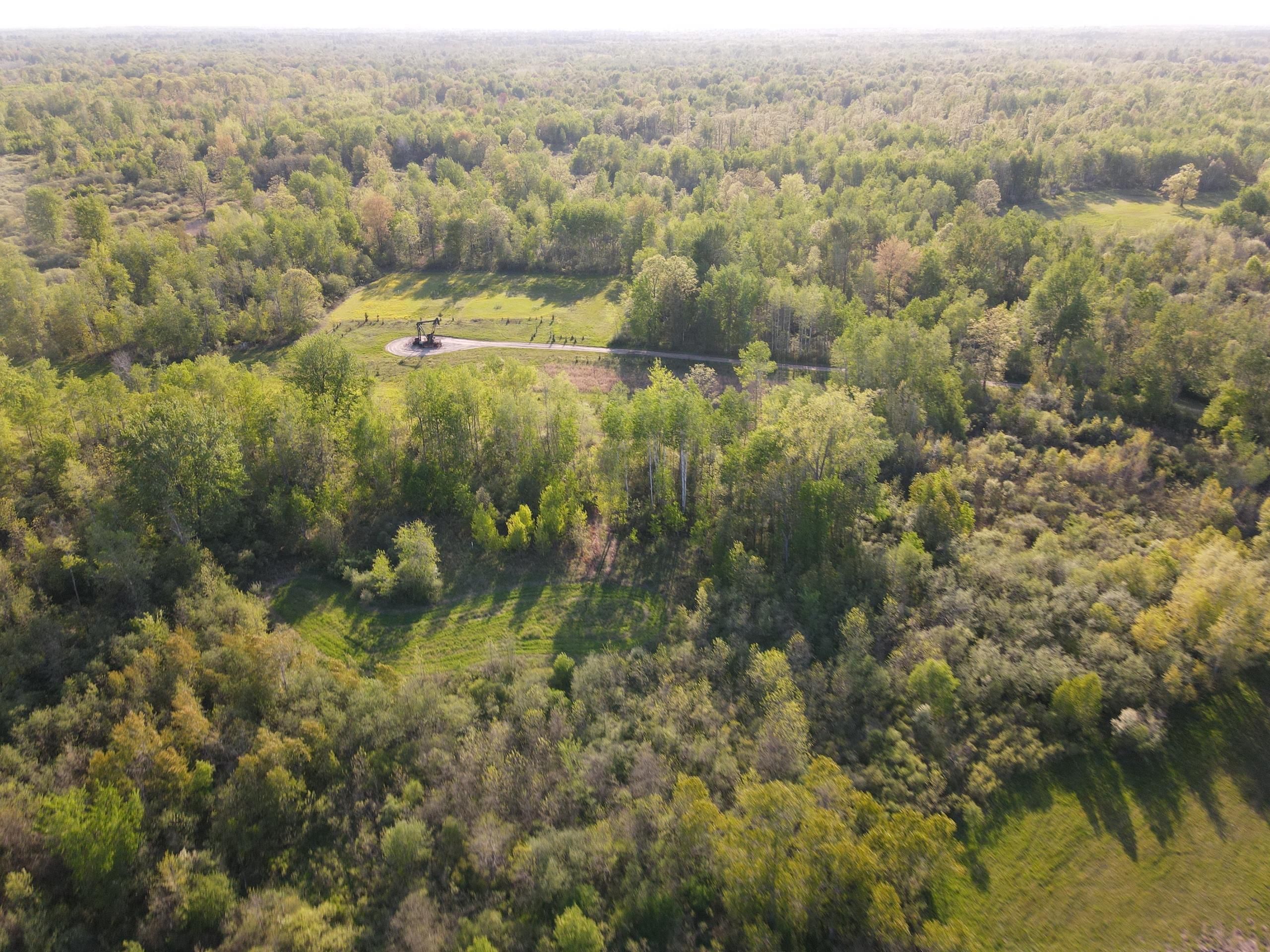 80 acres in Gladwin County, Michigan